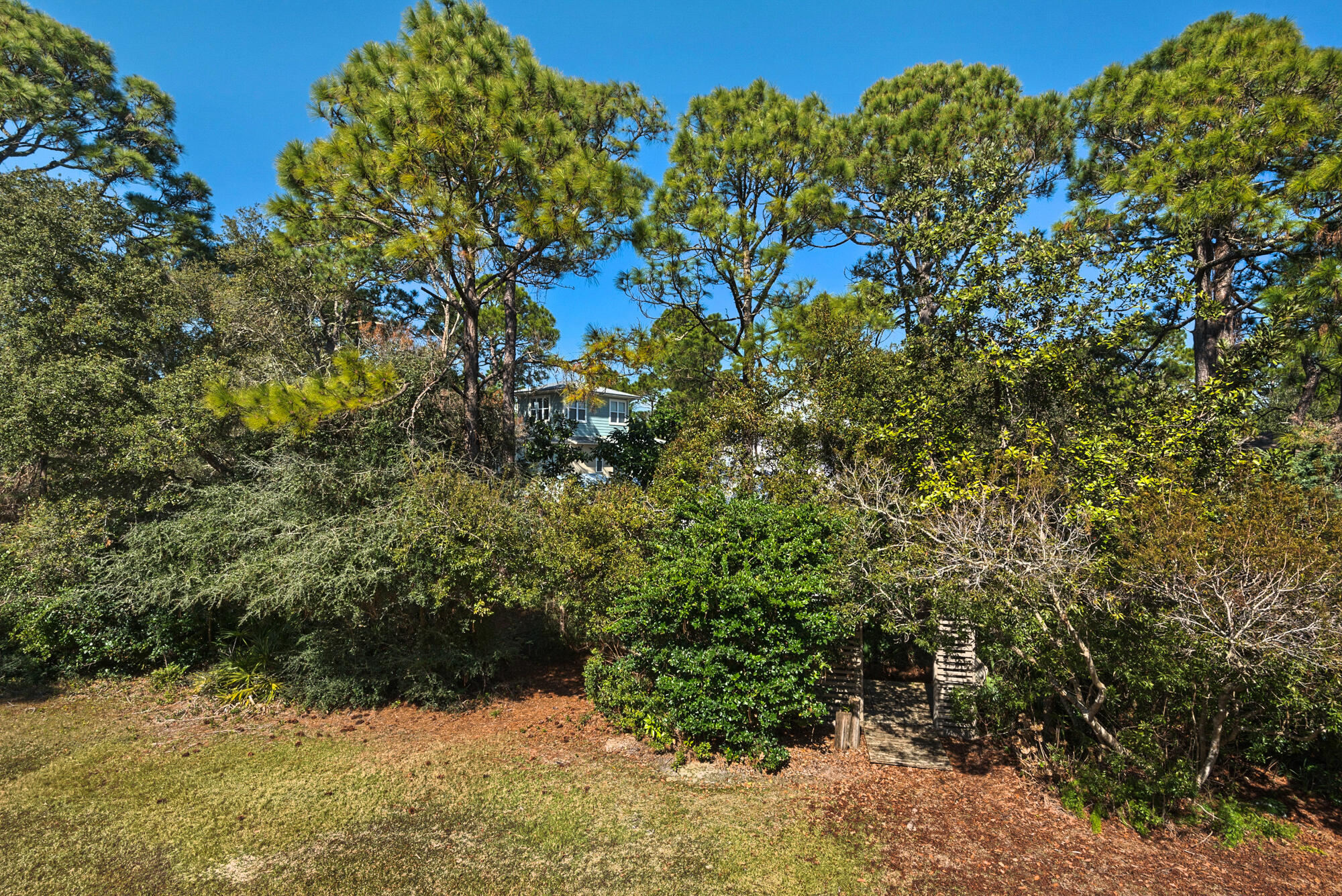 CASSINE GARDENS T/H PH 1 - Residential