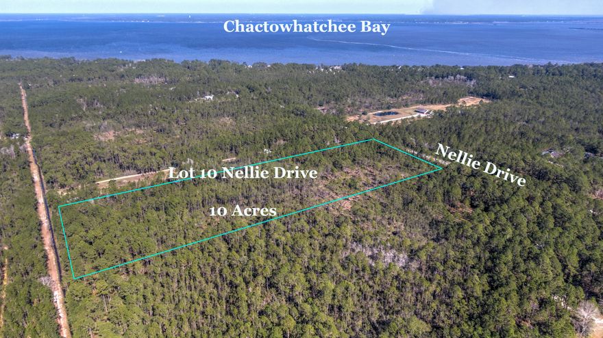 BEST PRICE 10 ACRE active listing on Nellie Dr. This partially cleared wooded parcel is zoned Conservation Residential allowing one unit per 2.5 acres. Build your private home with room for utility buildings/barns/storage. Small crops and farm buildings. Dog Kennels and Veterinary Service facility. Potential for multiple single family residences or equestrian homestead, as well. Centrally located in the heart of Santa Rosa Beach between Choctawhatchee Bay and Gulf beaches. Easy access to HWY 98 leading to hospital, schools, shopping, dining also makes for convenient commute to Destin and Panama City Beach. Entrance to HWY 331 bridge few minutes east. 2004 Survey available. Buyer to confirm zoning and development code through Walton County