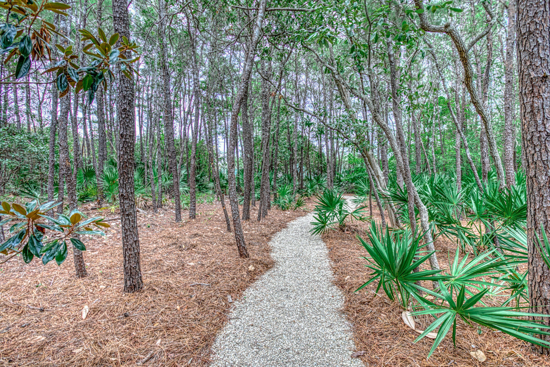 WATERCOLOR - Residential