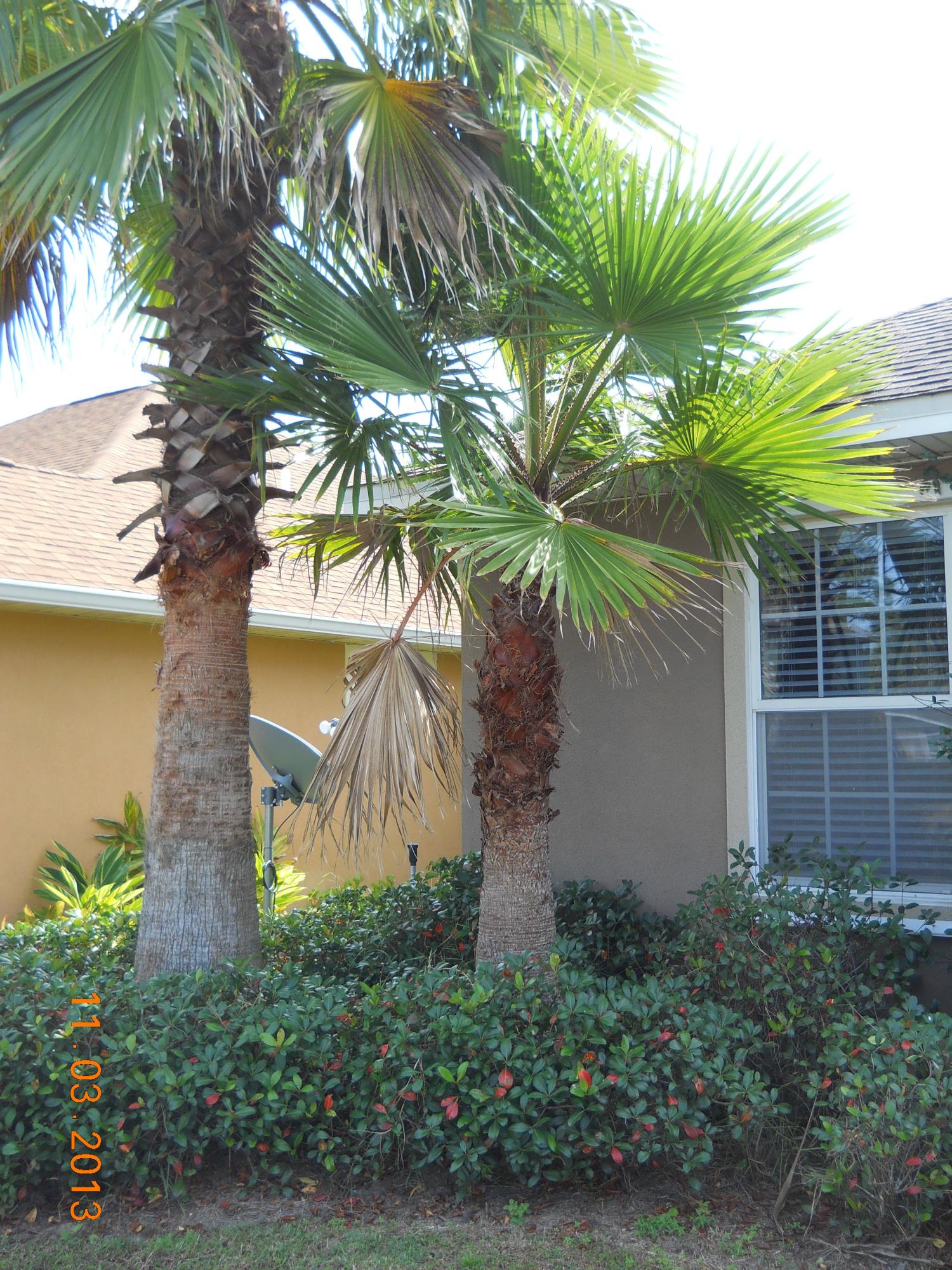 LEGION PARK LANDING - Residential Lease