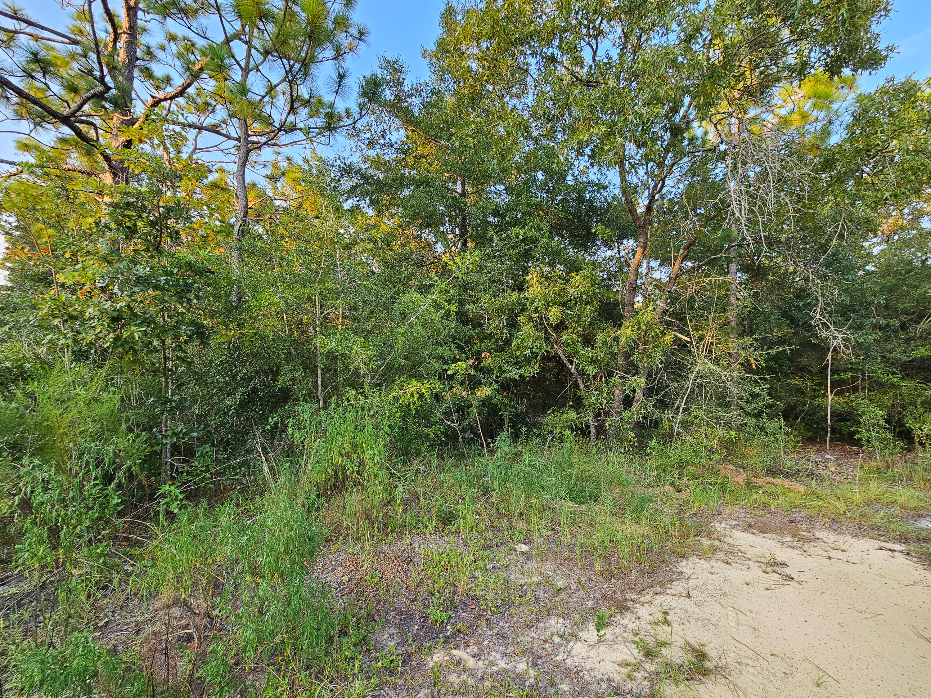 OAKWOOD LAKES EST UNIT 7 OF OAKWOOD HILLS - Land