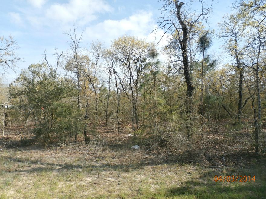 REO-This parcel is zoned for a Mobile Home Park or can be used as residential Multi Family. It is convenient to Defuniak Springs. This may be a good investment for someone interested in this type of development, and the bank will offer very favorable financing options.