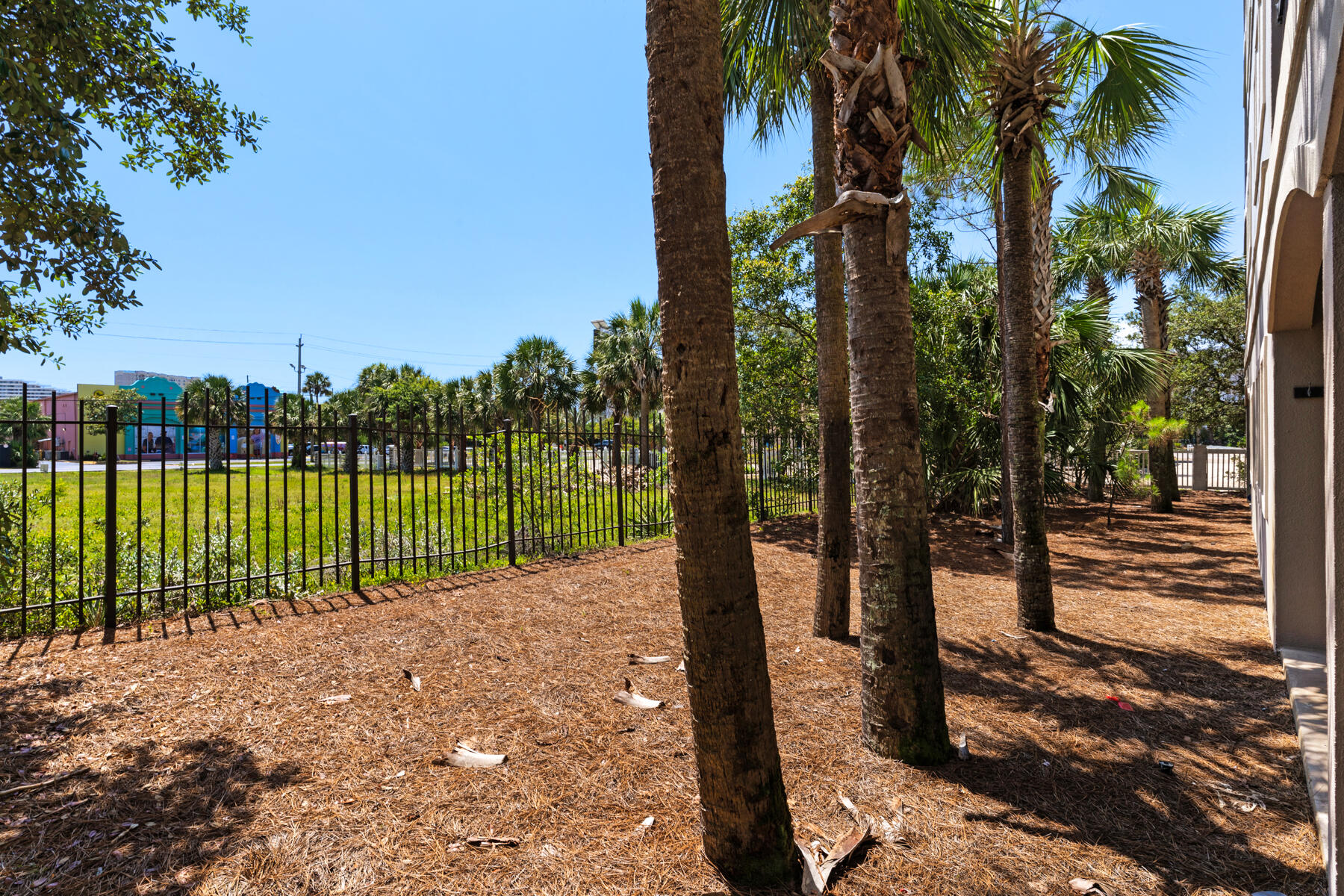 Alerio Condominiums - Residential