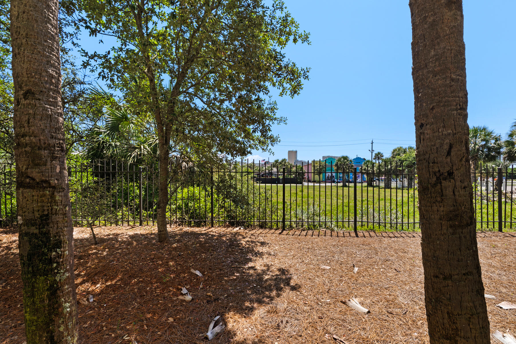 Alerio Condominiums - Residential