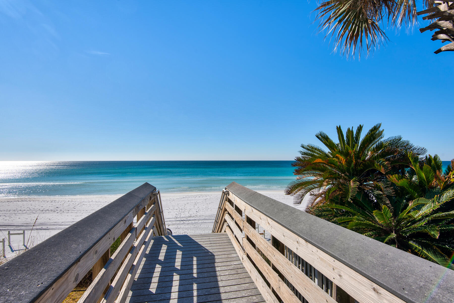 Alerio Condominiums - Residential