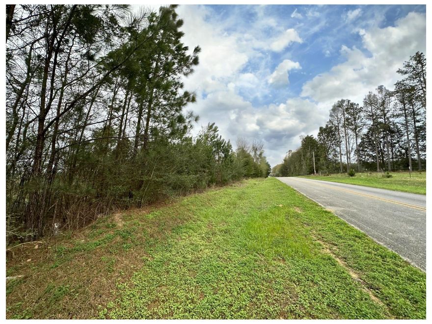 ***POSSIBLE HUNTING LEASE - DO NOT ENTER THE PROPERTY PRIOR TO SCHEDULING A SHOWING APPOINTMENT - 24 HR Notice Minimum. *** Dream Location for Country Living or Hunters Paradise, either way you won't want to miss this opportunity! This Beautiful 20.33+/- AC property has so much to offer.  High and Dry, paved road with access to power. Turkey season coming soon! This beautiful location could be your forever home. Bring your build plans, hunting gear, Horses and ATVS. Convenient location to the Florida /Alabama Stateline with easy access to County Hwy 181 W and Hwy 83.