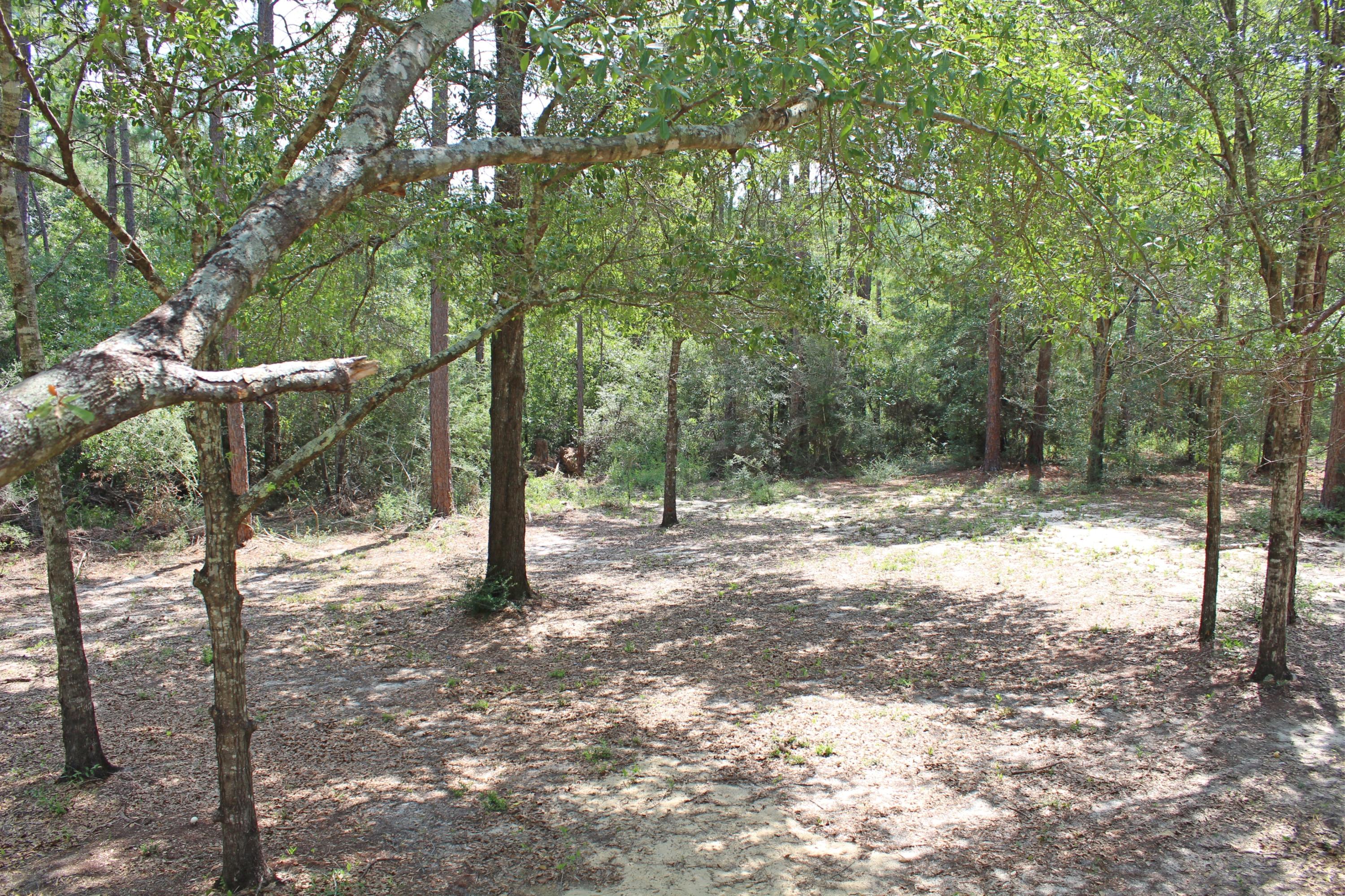 HIDDEN LAKES ESTATES - Residential