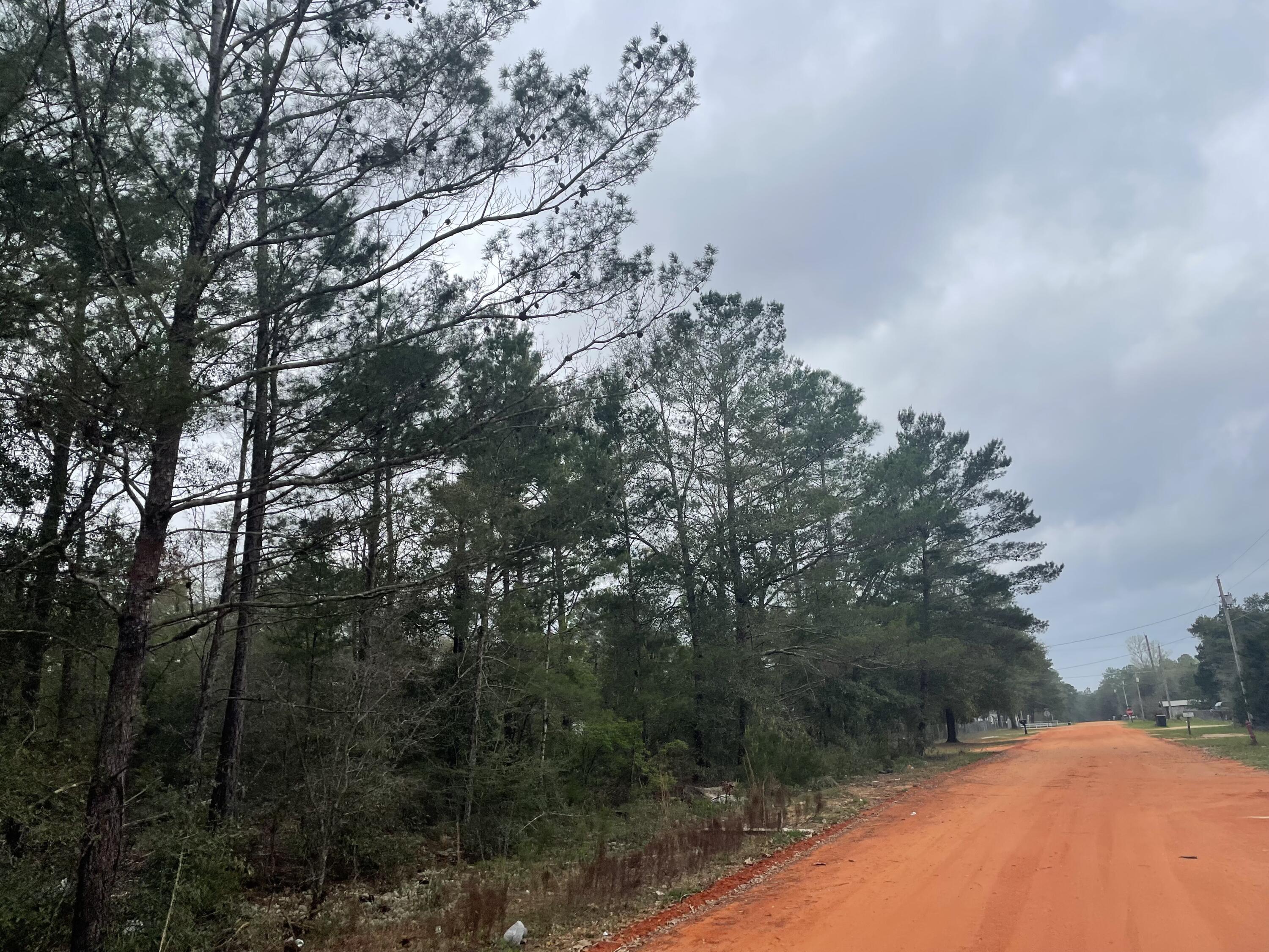 Wooded lots in Mossy Head. No HOA. minimal restrictions. Modular homes allowed. You will be approx. 30-45 mins from the beautiful white sandy beaches of Florida famous Emerald Gulf Coast and Crab Island. Community water and power are available at the road.