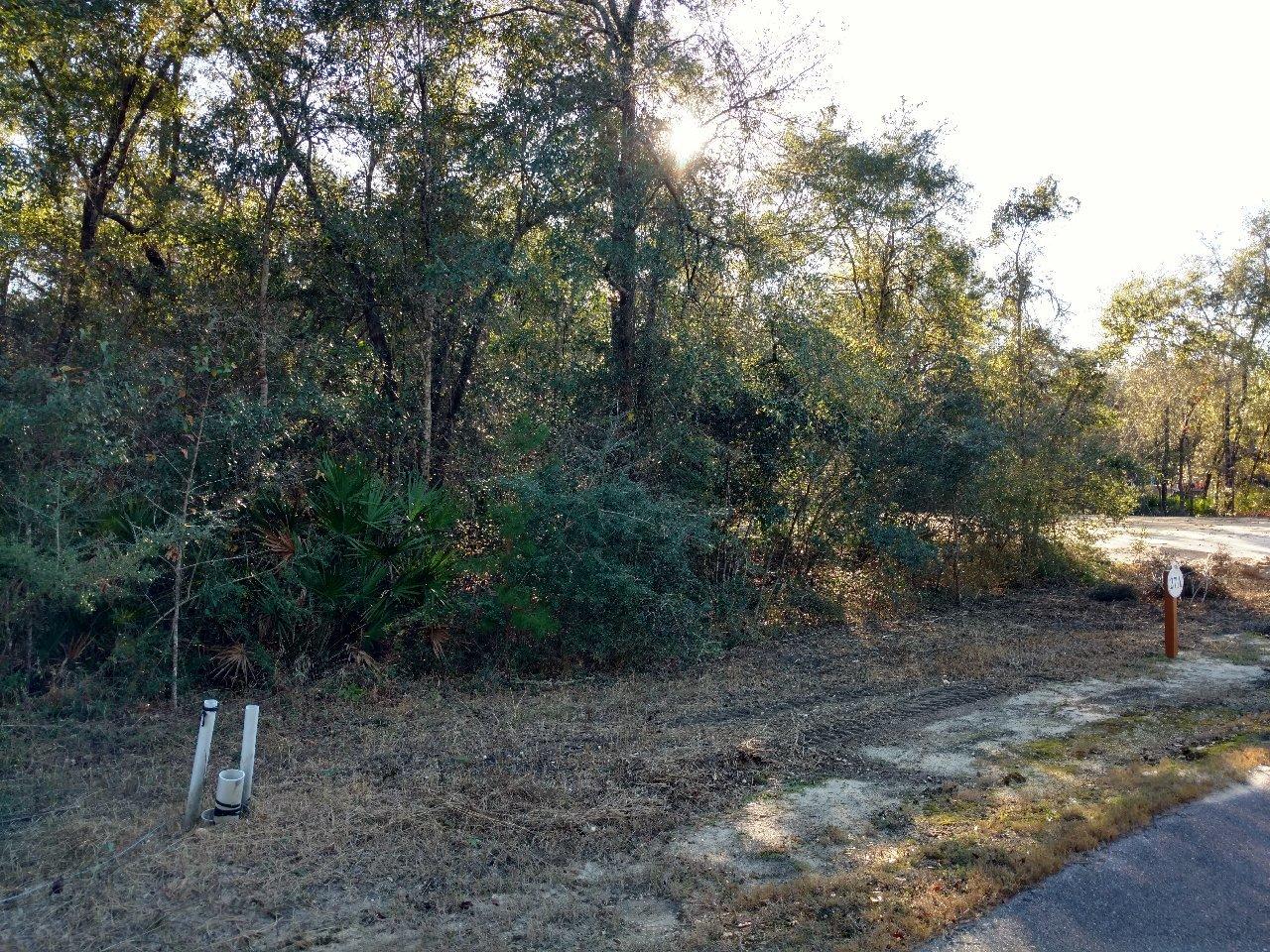 BEAR CREKK COTTAGES in Freeport is GROWING! New Homes being built in Bear Creek. Great proximity to Hwy 331 & to South Walton. Wooded lot w/buffer area/conservation area on the rear property line. Restricted S/D with ARC guidelines for building a single family home. Nice pool area for relaxing or entertaining. Close to Black Creek Lodge for fresh water fishing or Choctawhatchee Bay for saltwater fishing. Boat launches at The Lodge or at south end of Hwy 331 Bridge - Pilcher Park. Take a Look!!