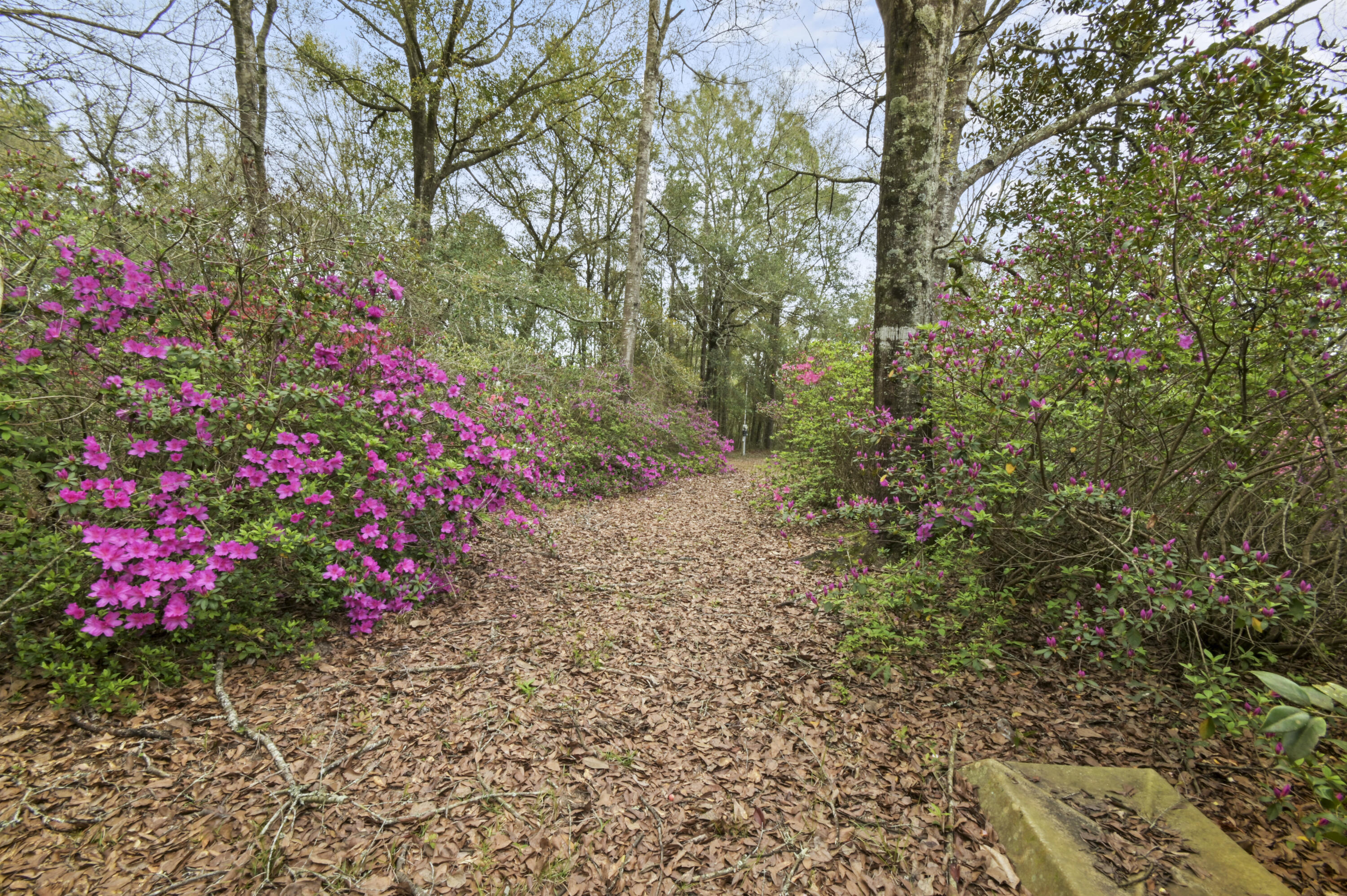 NONESUCH WAY - Residential