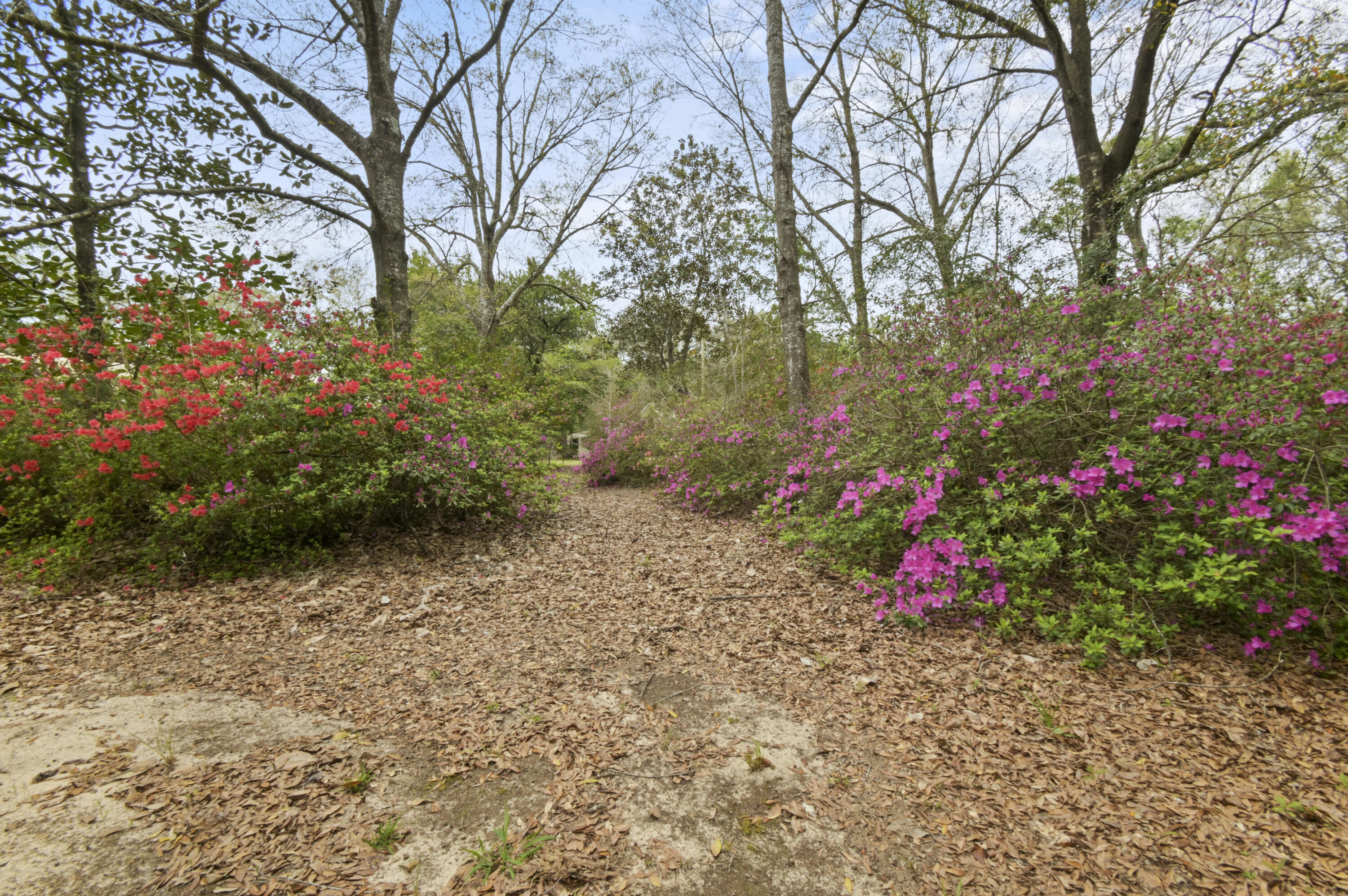 NONESUCH WAY - Residential