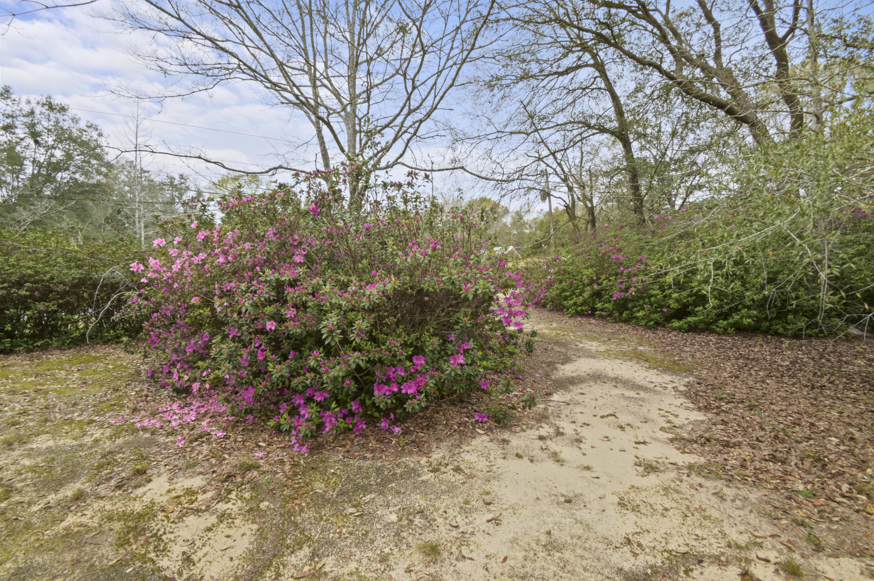 NONESUCH WAY - Residential