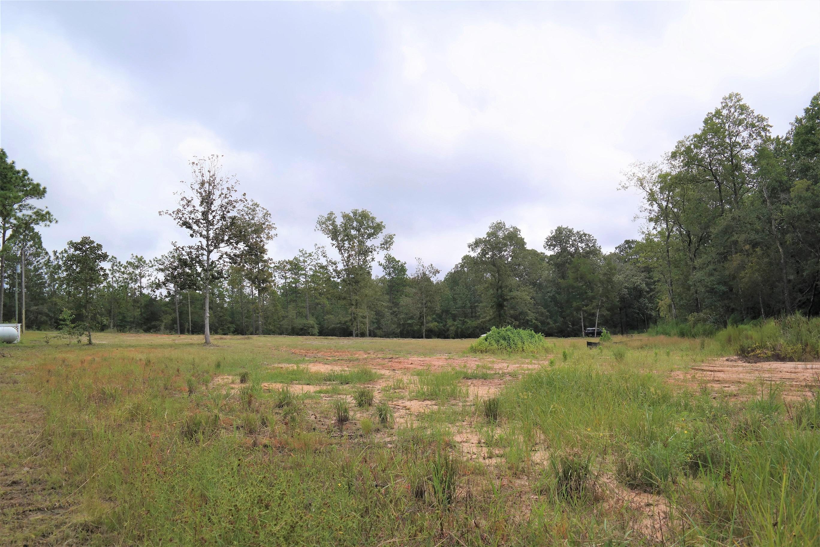 SPRING LAKE ESTATES - Land