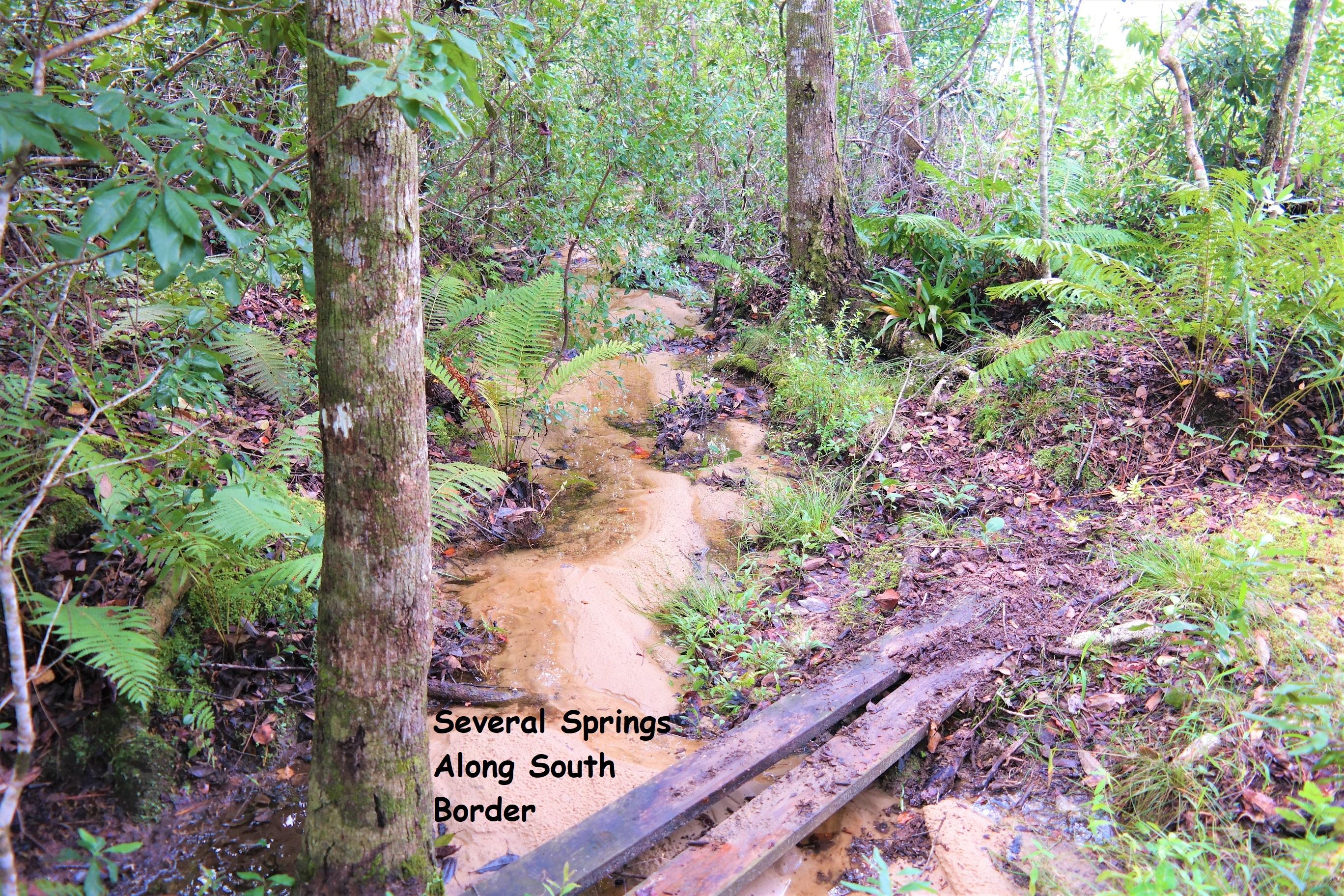 SPRING LAKE ESTATES - Land