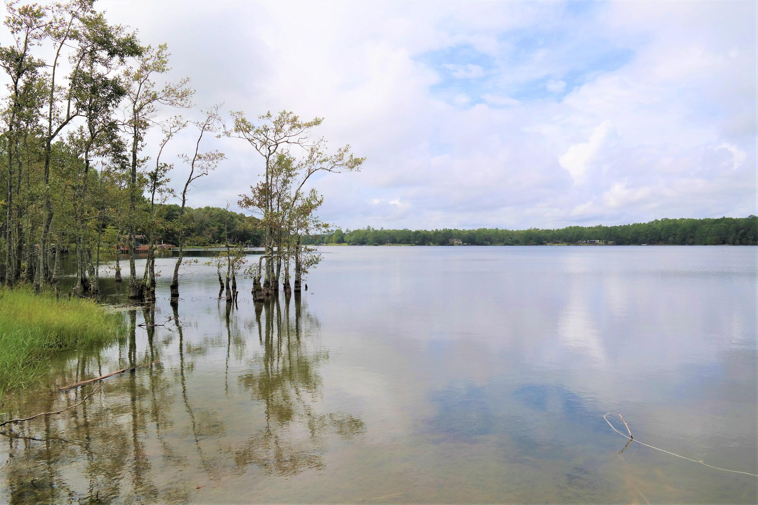 SPRING LAKE ESTATES - Land