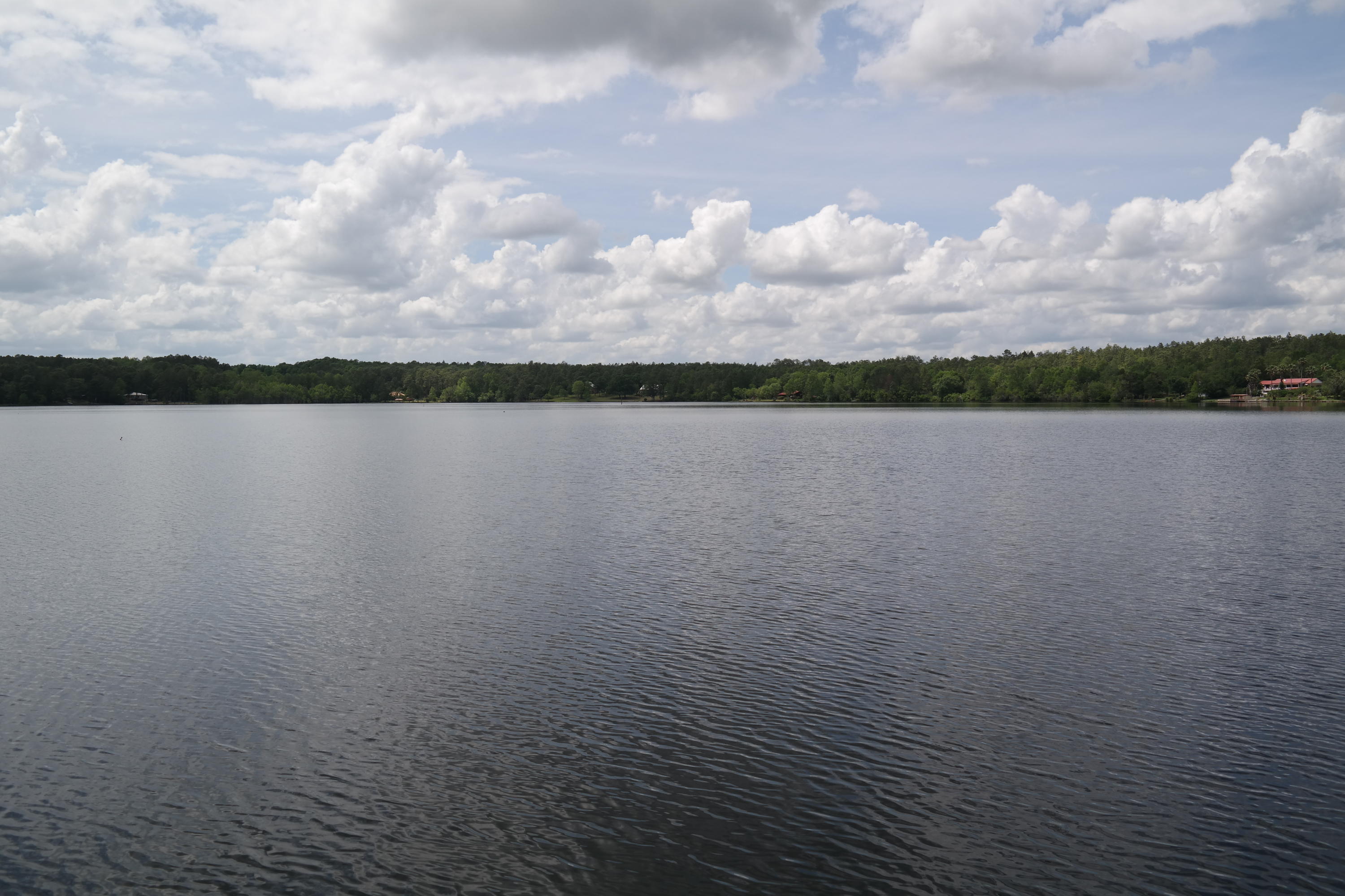 SPRING LAKE ESTATES - Land