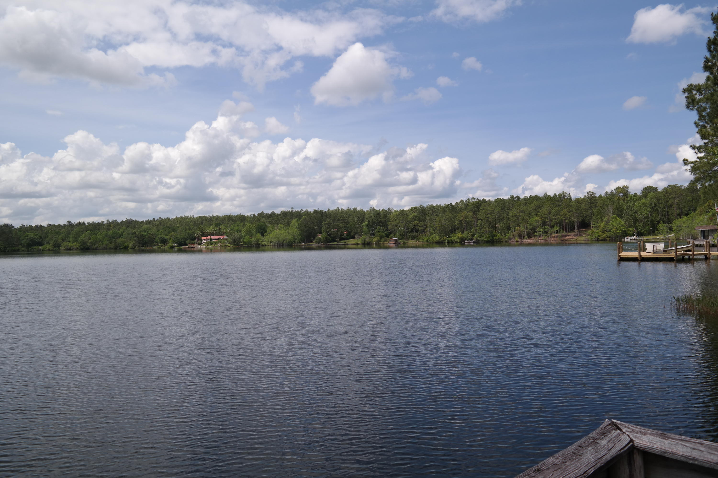 SPRING LAKE ESTATES - Land