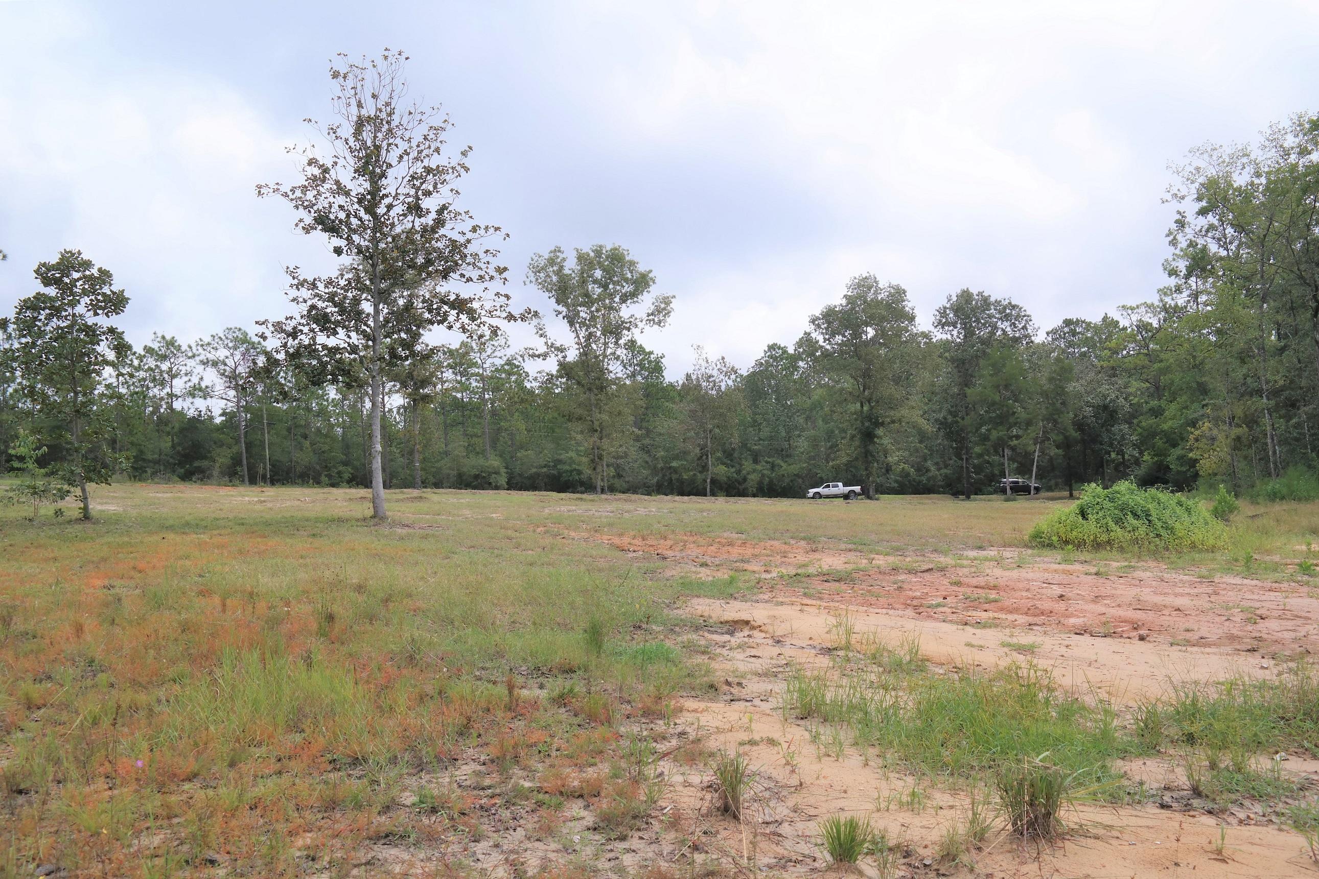 SPRING LAKE ESTATES - Land