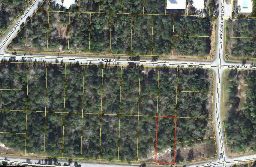 Bear Creek Cottages is a quaint small community with paved roads, pool and street lights. Lots are over sized and offer room for detached garage and large open ranch floor plan.