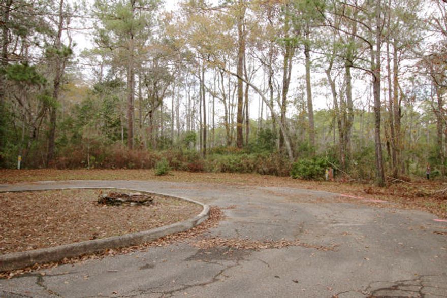 Residential homesite available in Phase III of the Bayside Development consisting of only 40 lots. Development is located along Bay Loop Road in Freeport, one of the fastest growing cities in NW Florida. Located 12 miles from the beautiful beach side communities of Watercolor, Seaside, and Watersound. The community of Hammock Bay is located adjacent to Cross Creek. The city of Freeport has a planned development of a 60 acre park nearby. This park will include two playgrounds, T-Ball fields, 2 baseball fields, tennis courts, a nature trail, shuffleboard courts, a lawn bowling area along with two soccer fields. The New Publix along with many new shops make this a convenient location & a quiet homeplace by the Bay. Additional land available.