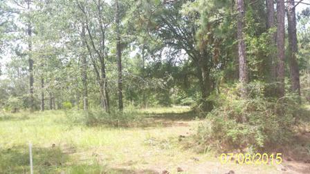 NONESUCH WAY - Residential