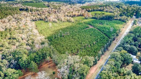 Photo of 0 Bainbridge Rd Highway, Quincy, FL 32351 (MLS # 991471)