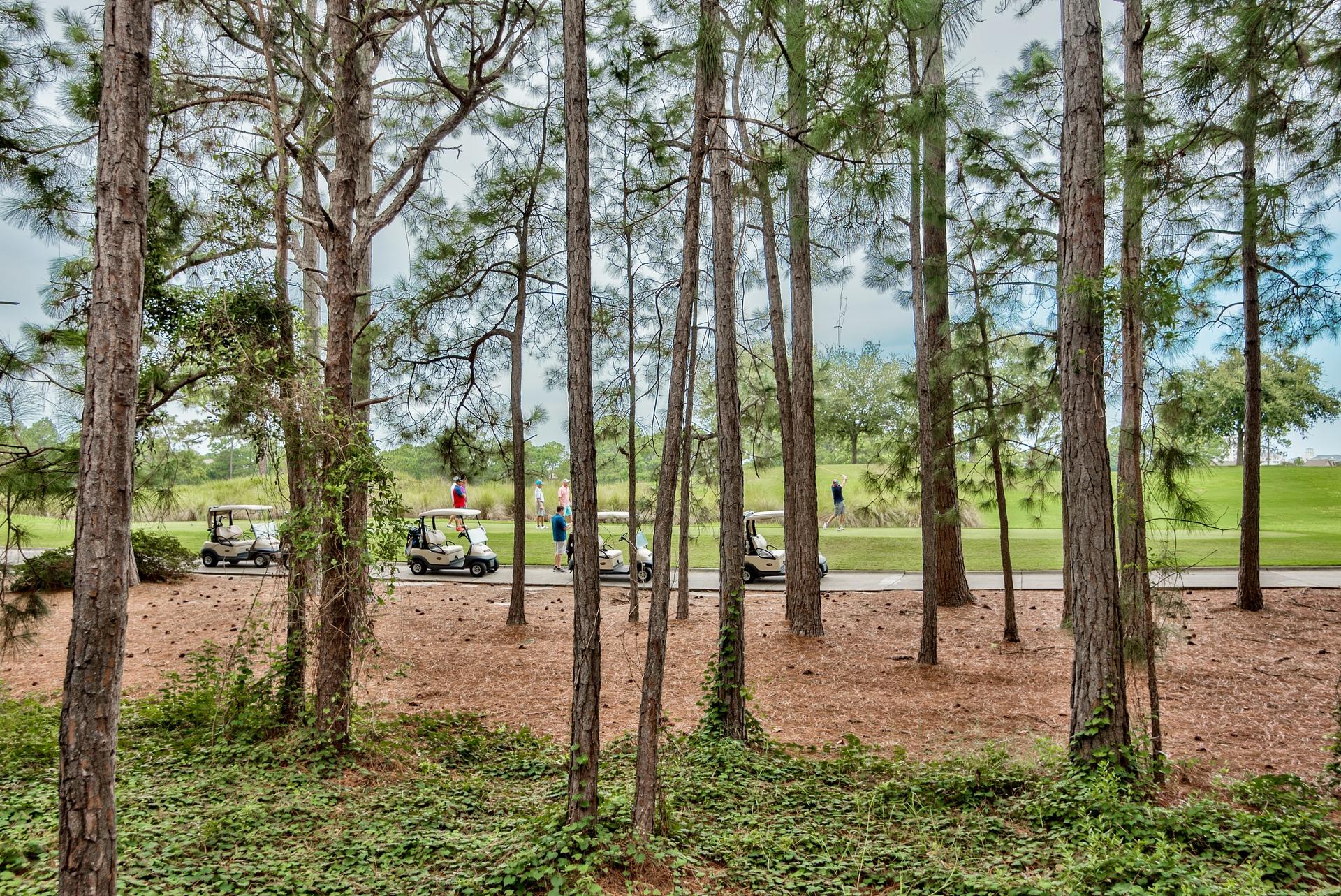 LAUREL GROVE - Residential