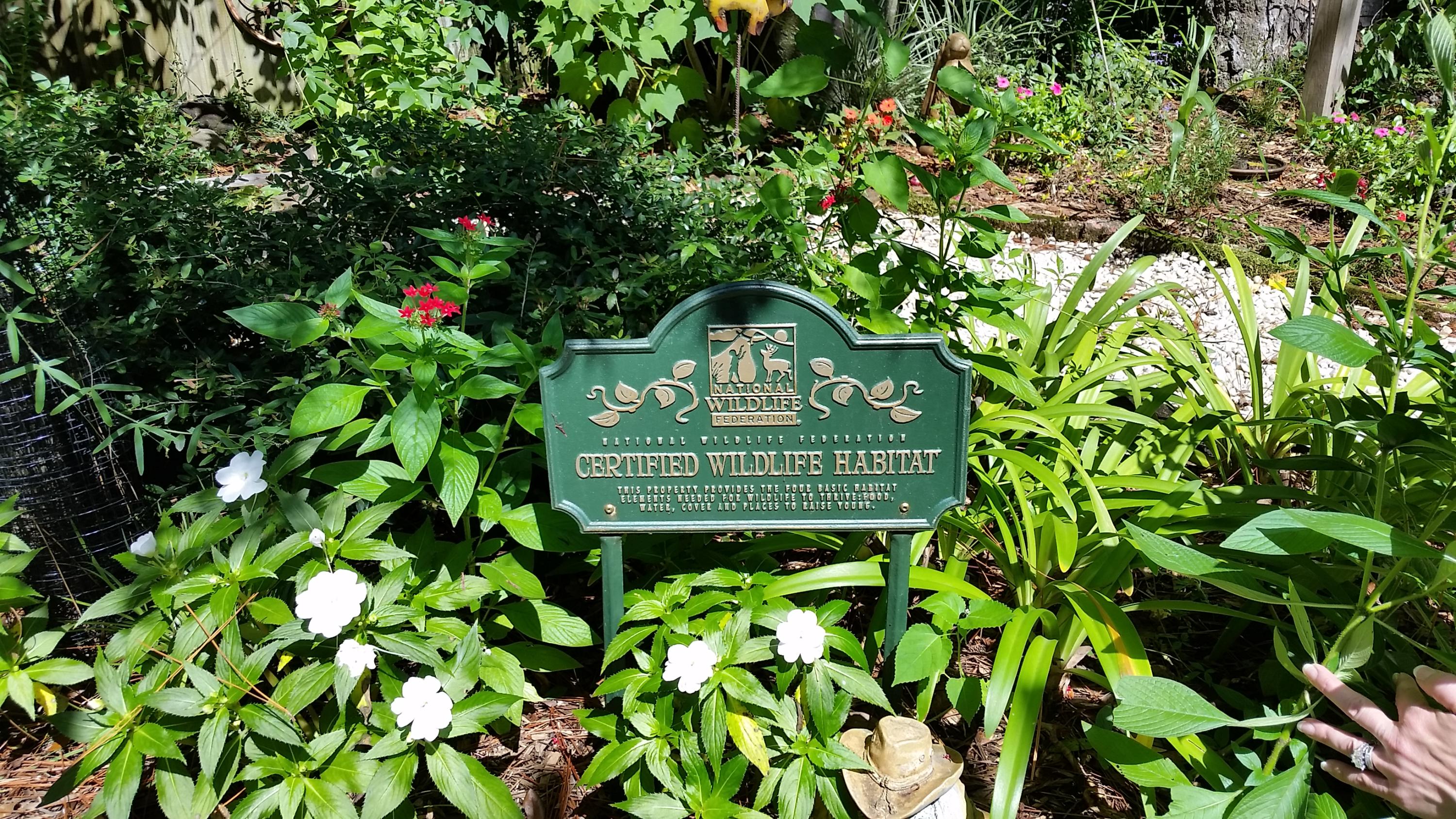 EMERALD GARDENS NORTH 1ST ADDN - Residential