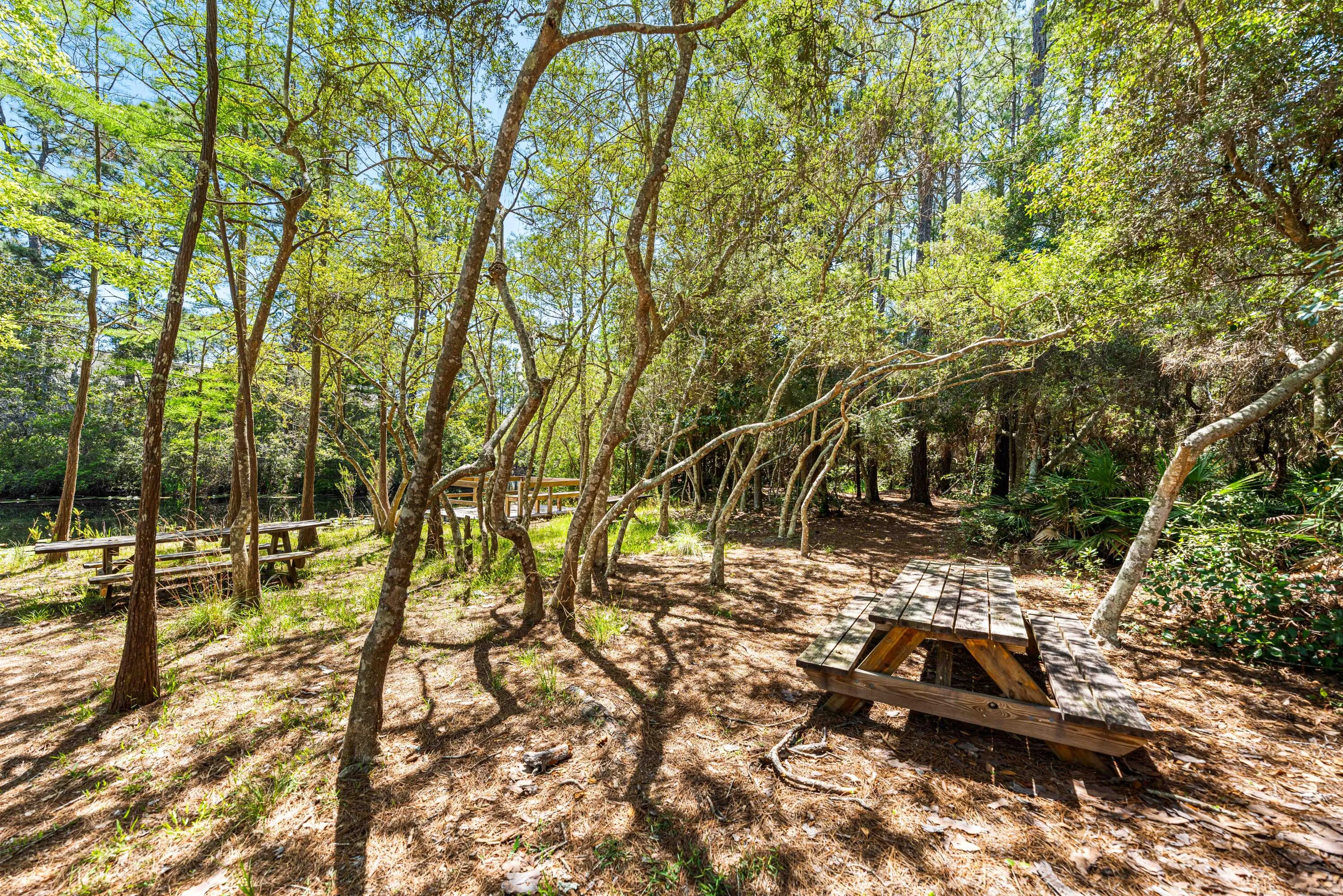 Santa Rosa Beach, Florida 32459, United States, 2 Bedrooms Bedrooms, ,3 BathroomsBathrooms,Residential,Active,195090