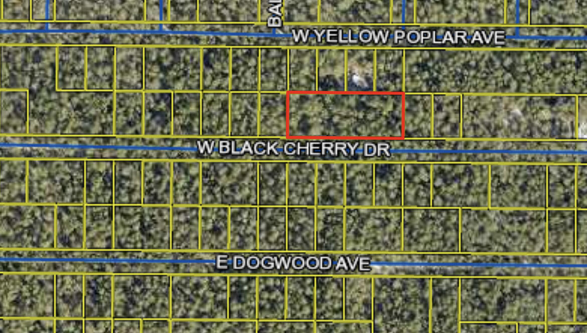 Beautiful lot in the Mossy Head area. This lot is 81 x 125 and .23 ac. Lightly wooded lots located minutes to downtown Defuniak Springs and also I-10 in Mossy Head. No utilities currently on lot