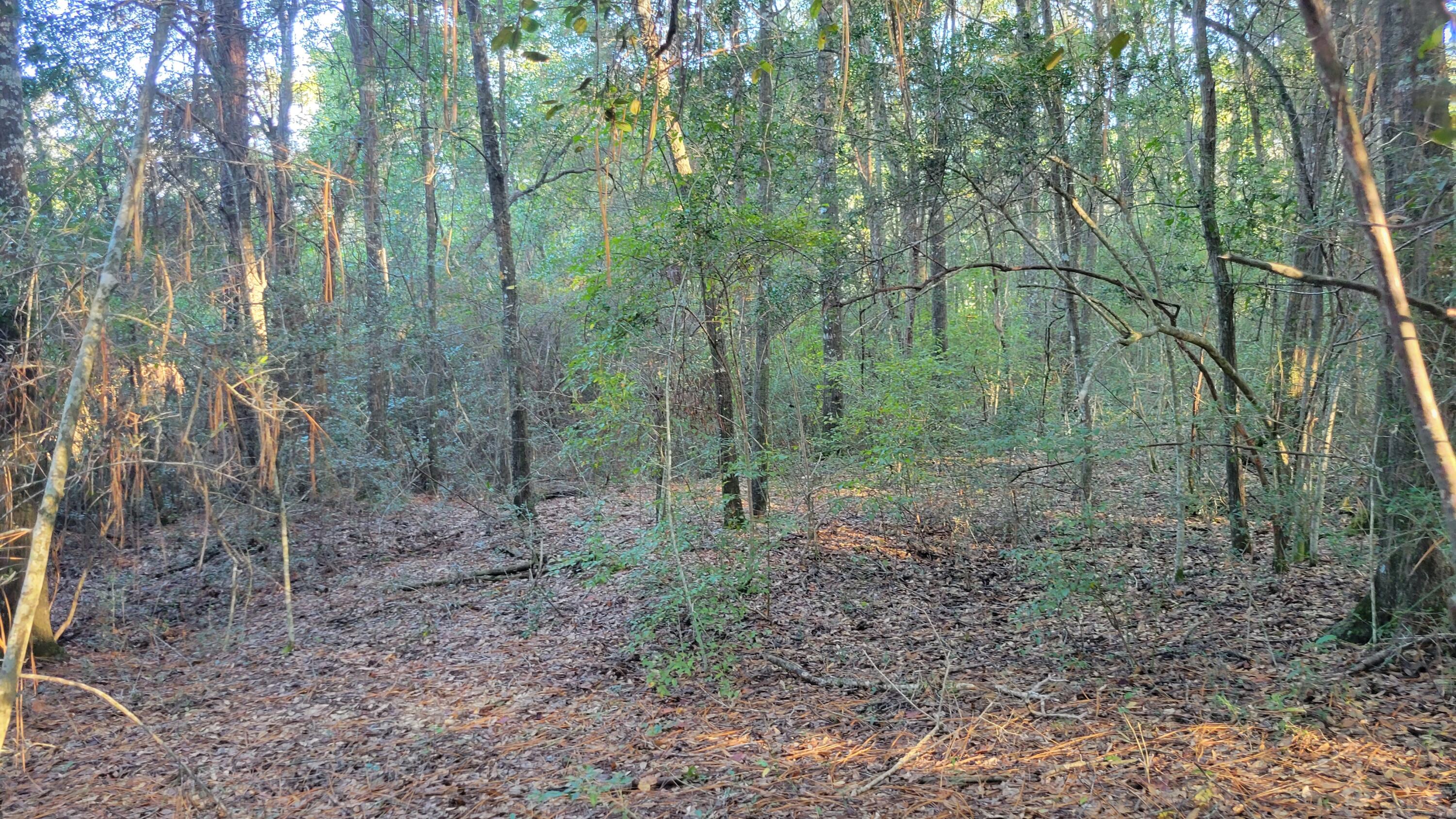 OAKDALE M/F - Land