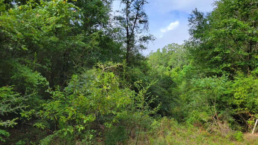 Discover nearly six acres of prime Crestview land at 00 NE Second Ave--your blank canvas complete with a creek running through it. Located just minutes from Crestview High School, Davidson Middle School, Publix at Northcrest Center, Crestview Marketplace, and Old Spanish Trail Park--plus only one mile to Historic Downtown Crestview's shops and restaurants--this site combines convenience with natural charm. Zoned R 1 for single family homes and townhomes. Density - 4 Units per acre. Rising demand in Okaloosa County makes this a rare chance to shape Crestview's future. Contact us today