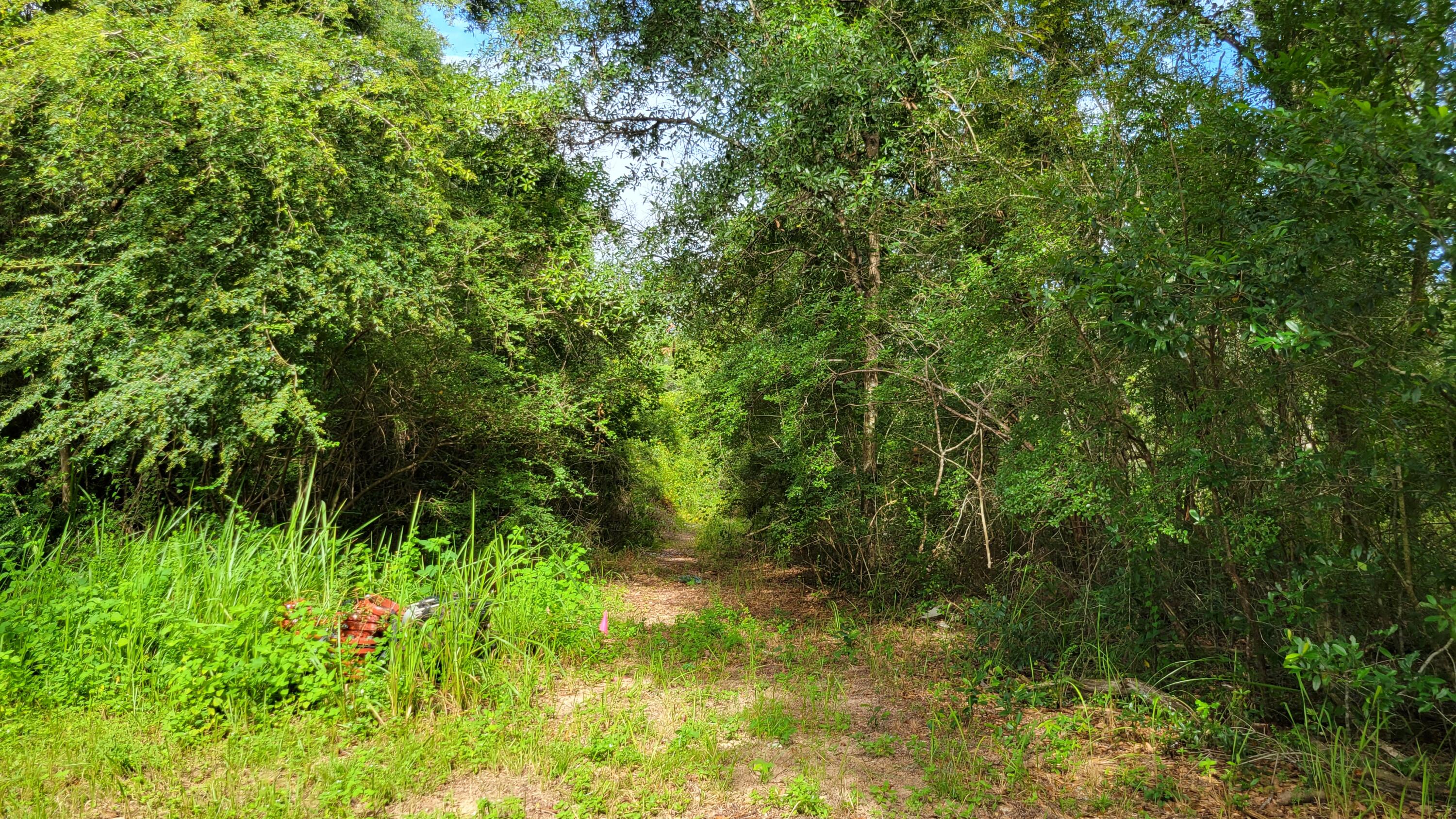 OAKDALE M/F - Land