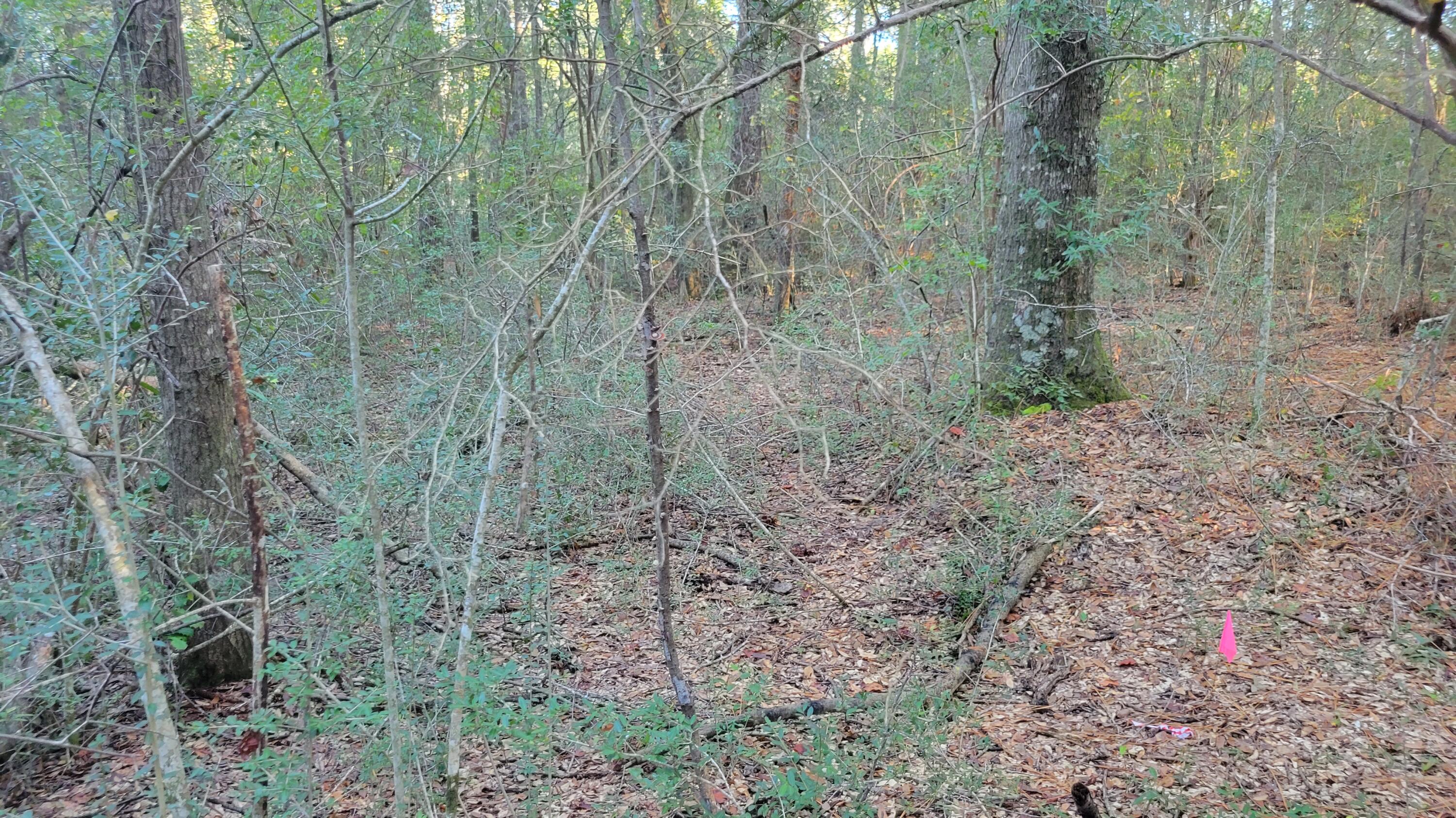 OAKDALE M/F - Land