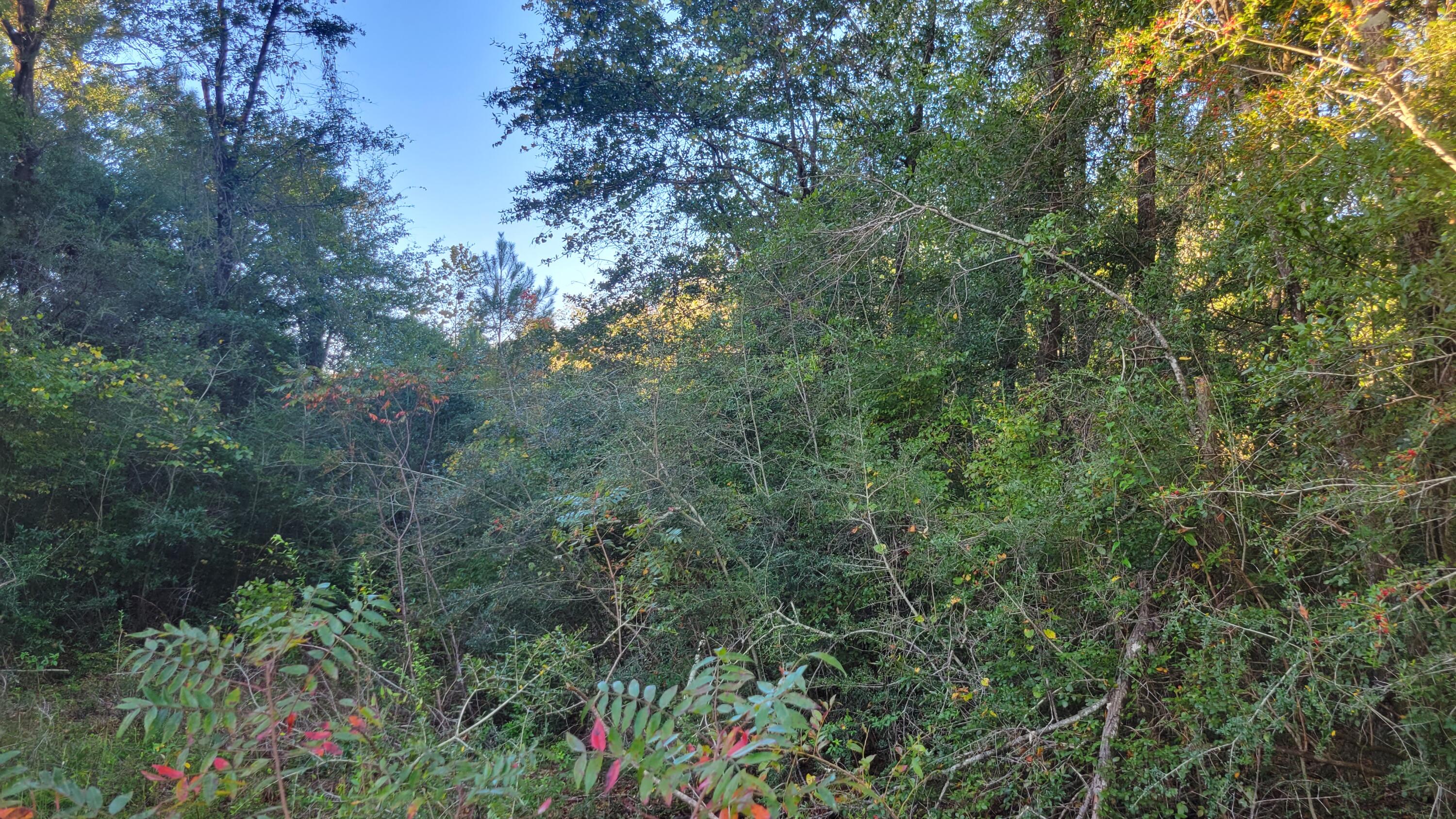 OAKDALE M/F - Land