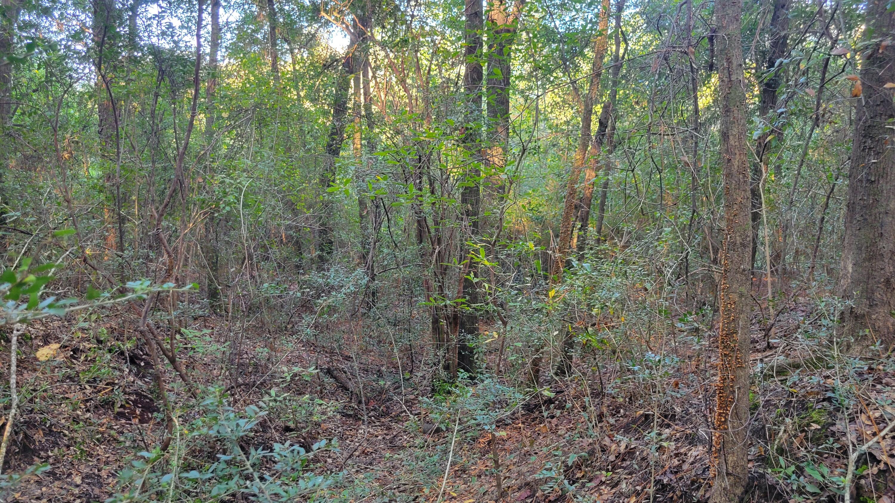 OAKDALE M/F - Land