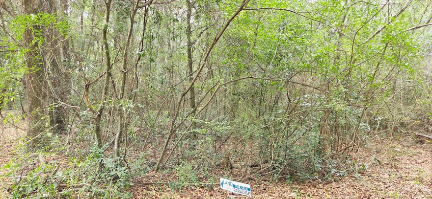 PRICE REDUCTION!  This 5.97 acre property is located in the heart of Crestview and would be great for an Estate and much more (see below). The property is just a couple of minutes to Crestview High School, Davidson Middle School, Publix at Northcrest Center, Crestview Marketplace, and Old Spanish Trail Park--plus only one mile to Historic Downtown Crestview's shops and restaurants--this site combines convenience with natural charm. Zoned R 1 for single family homes and townhomes. Density - 4 Units per acre. Rising demand in Okaloosa County makes this a rare chance to shape Crestview's future. Contact us today