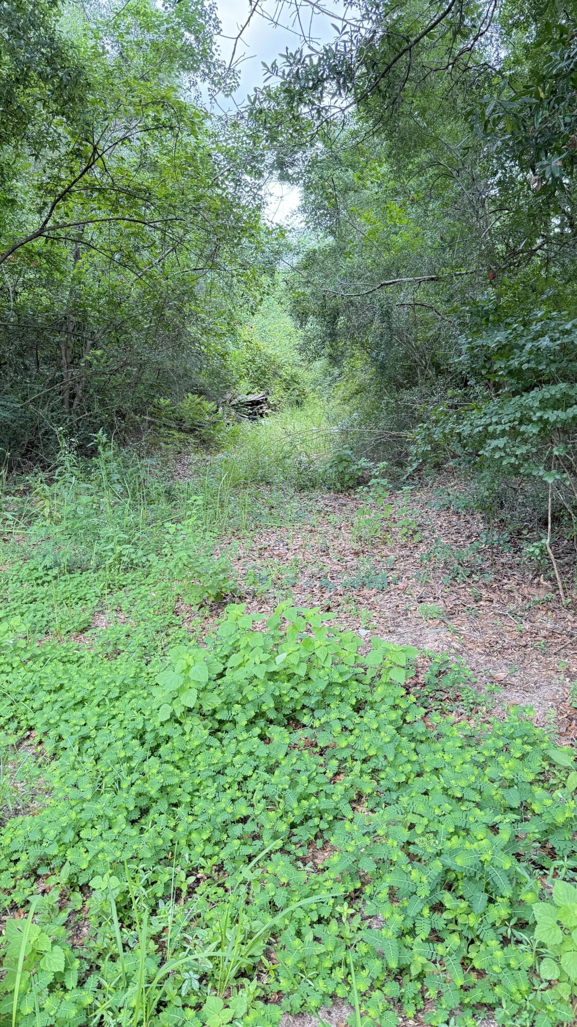 OAKDALE M/F - Land