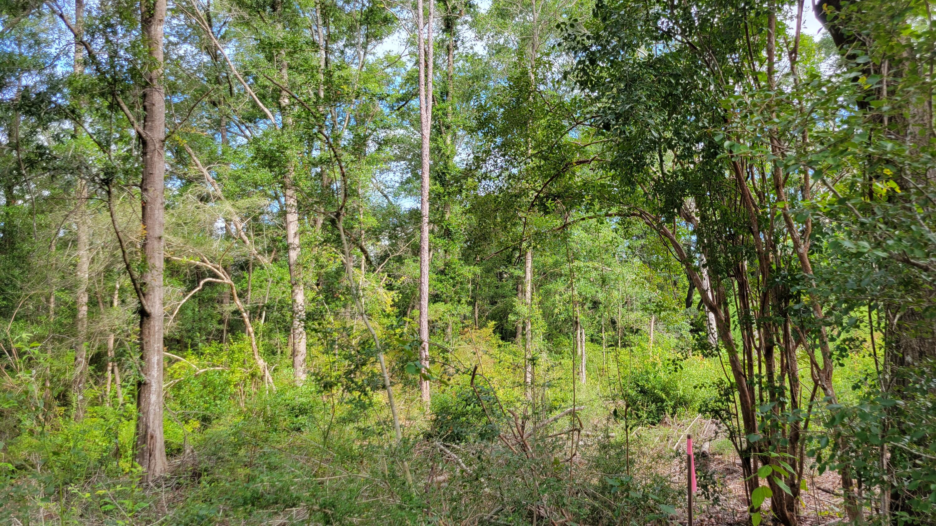 Discover nearly six acres of prime Crestview land at 00 NE Second Ave--your blank canvas complete with a creek running through it. Located just minutes from Crestview High School, Davidson Middle School, Publix at Northcrest Center, Crestview Marketplace, and Old Spanish Trail Park--plus only one mile to Historic Downtown Crestview's shops and restaurants--this site combines convenience with natural charm. Zoned R 1 for single family homes and townhomes. Density - 4 Units per acre. Rising demand in Okaloosa County makes this a rare chance to shape Crestview's future. Contact us today
