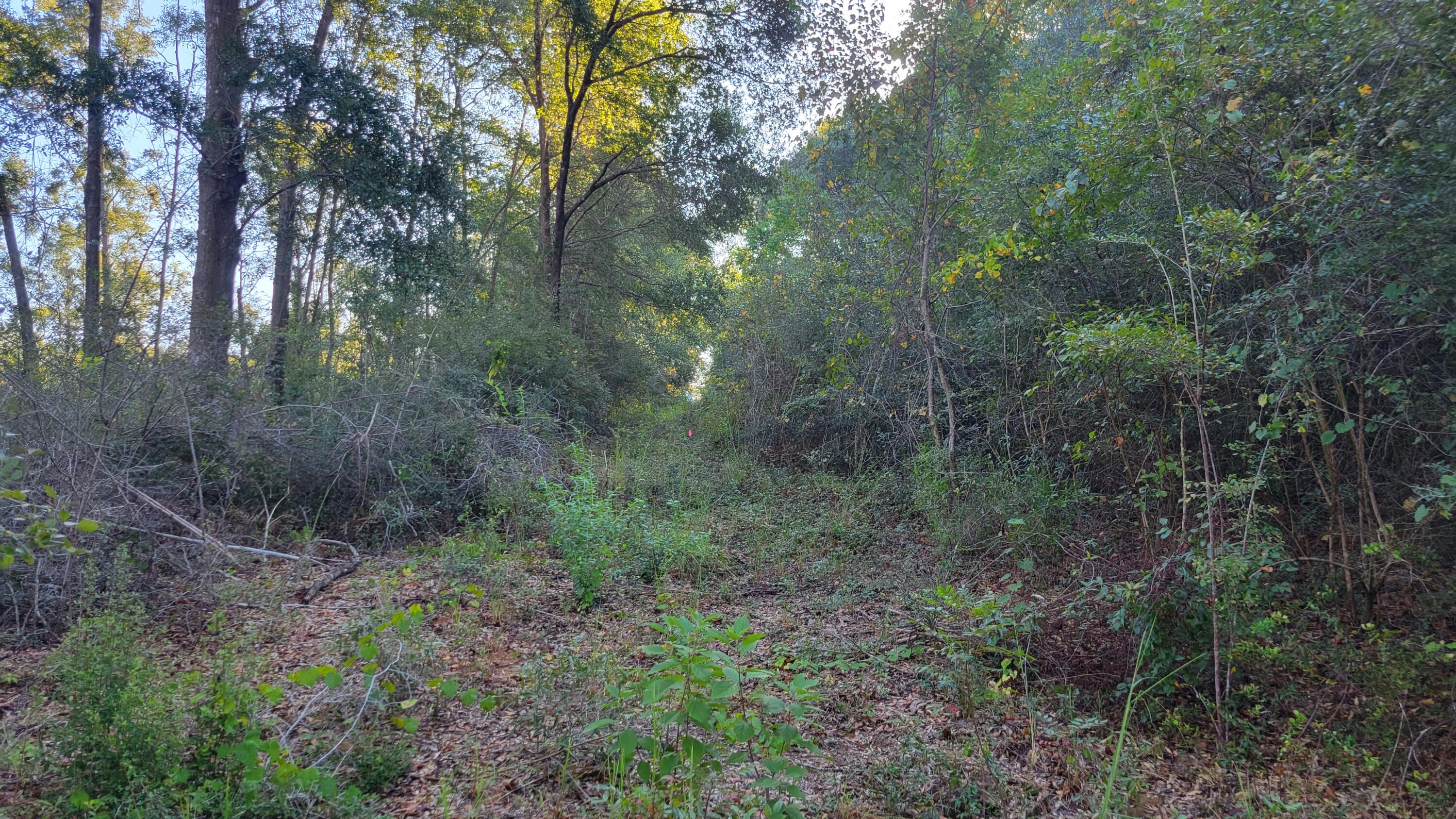 OAKDALE M/F - Land