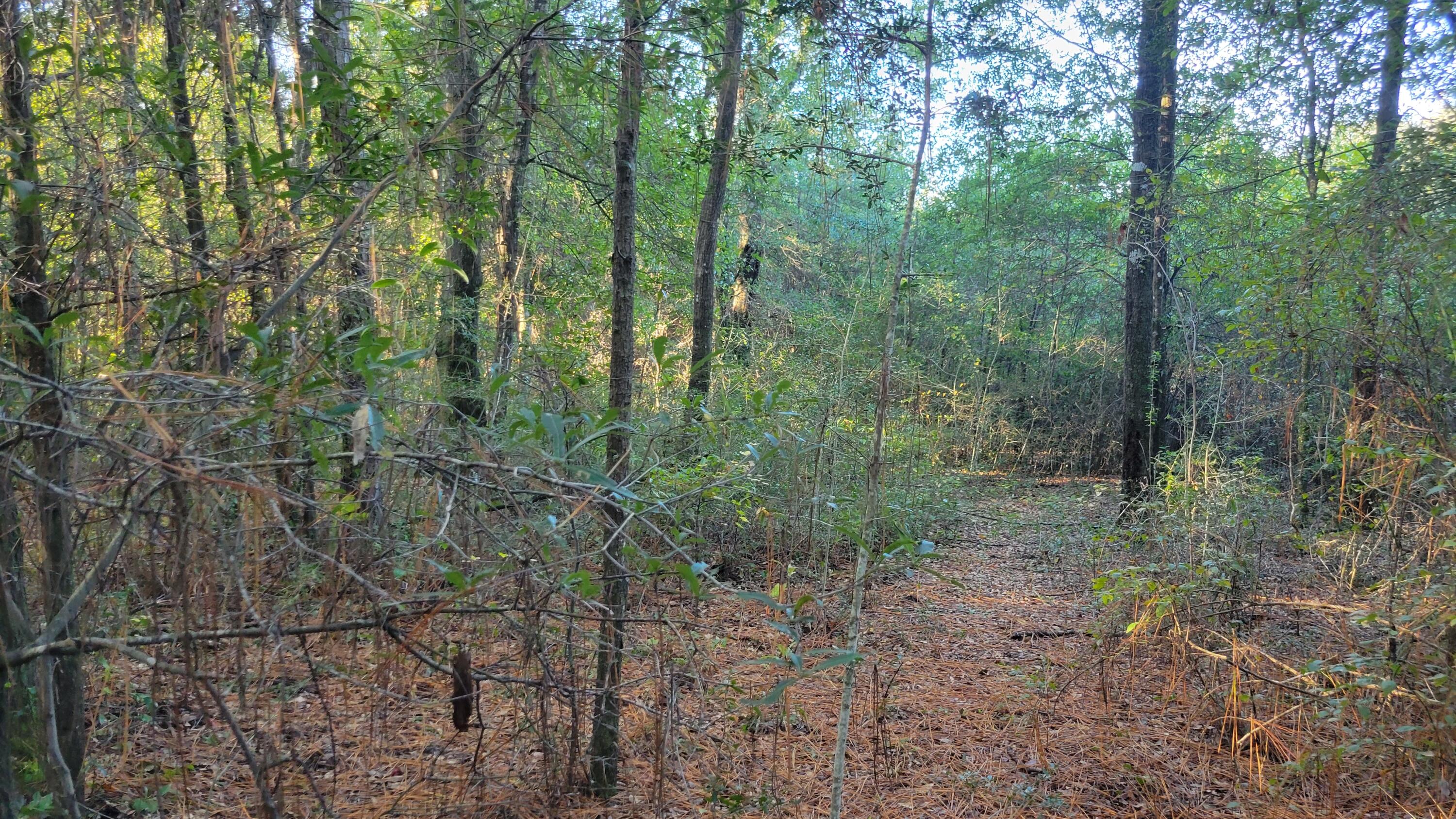 OAKDALE M/F - Land