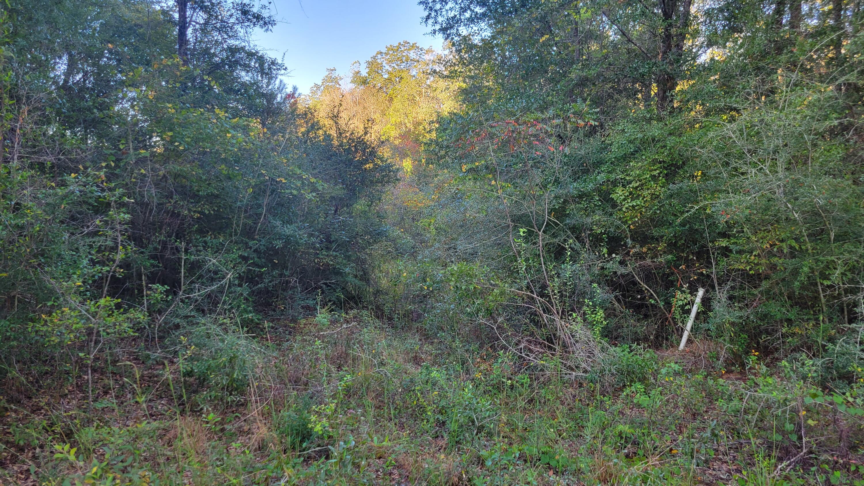 OAKDALE M/F - Land