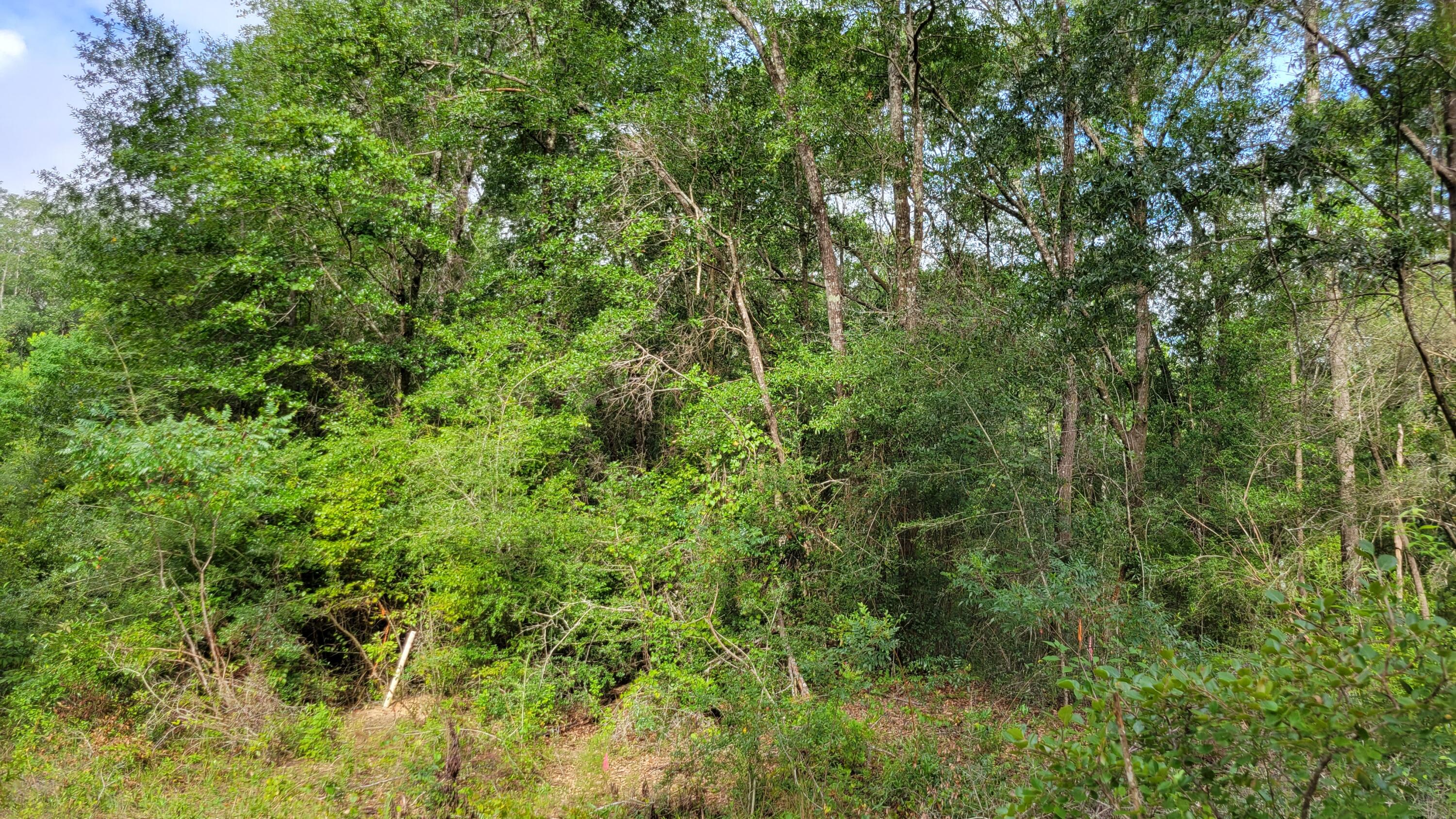 OAKDALE M/F - Land