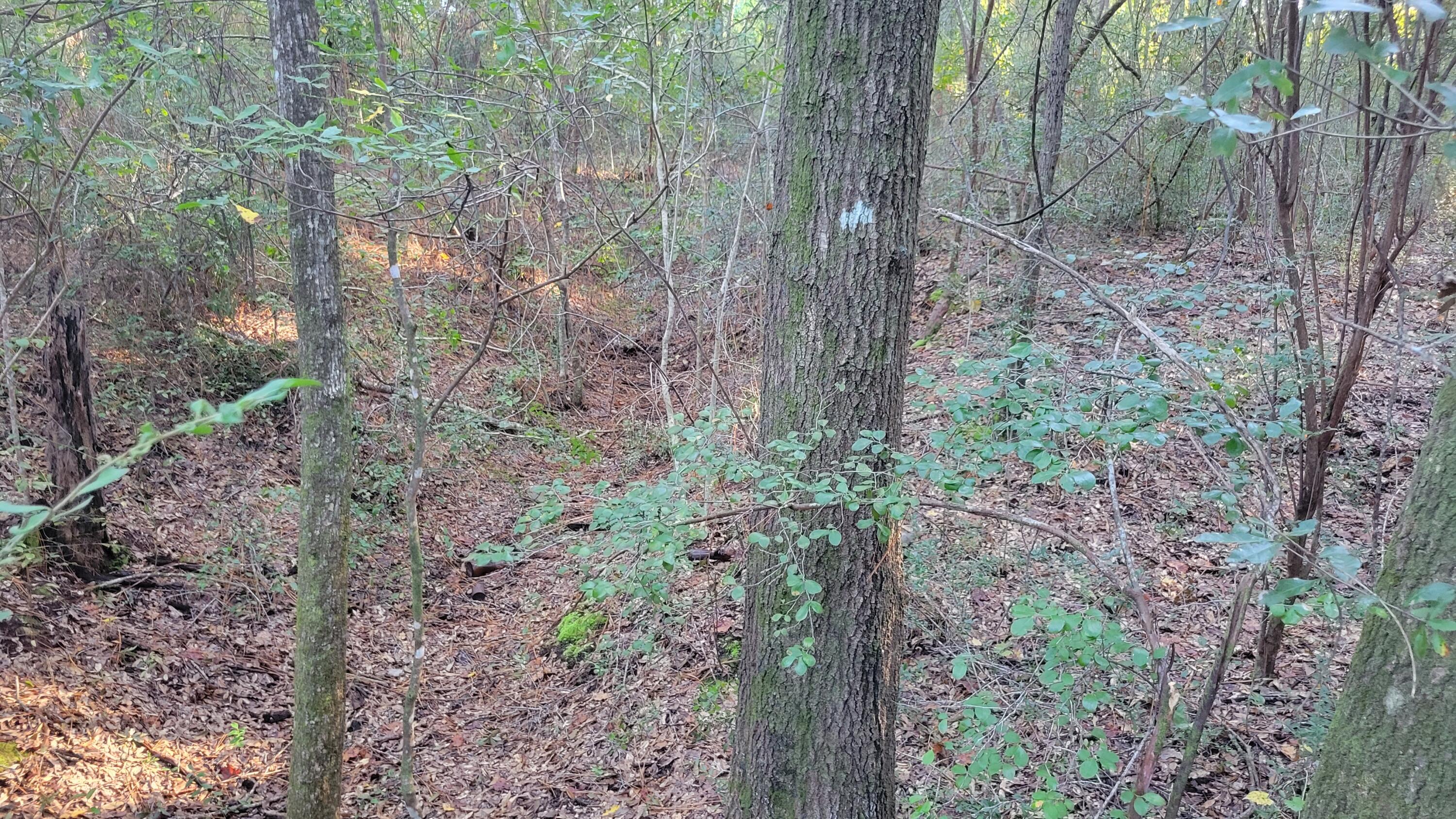 OAKDALE M/F - Land