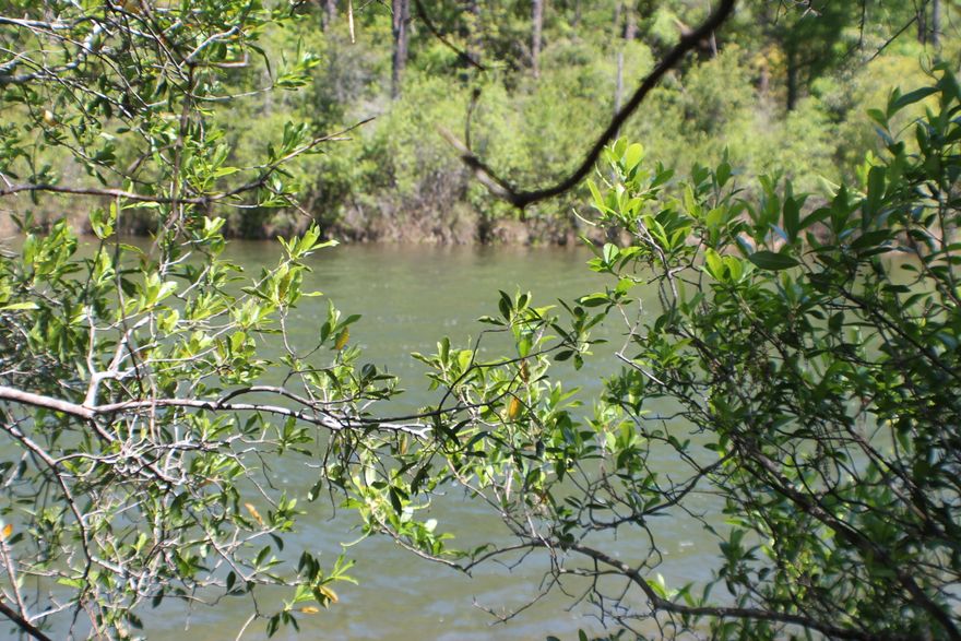 Lakefront homesite!!! Bring your house plans!! 3.16 AC level ground to build you dream house!! Lovely neighborhood and additional land available!! This is subject to a lot split. Other listing with same parcel and different acreage is available! See additional MLS listing.