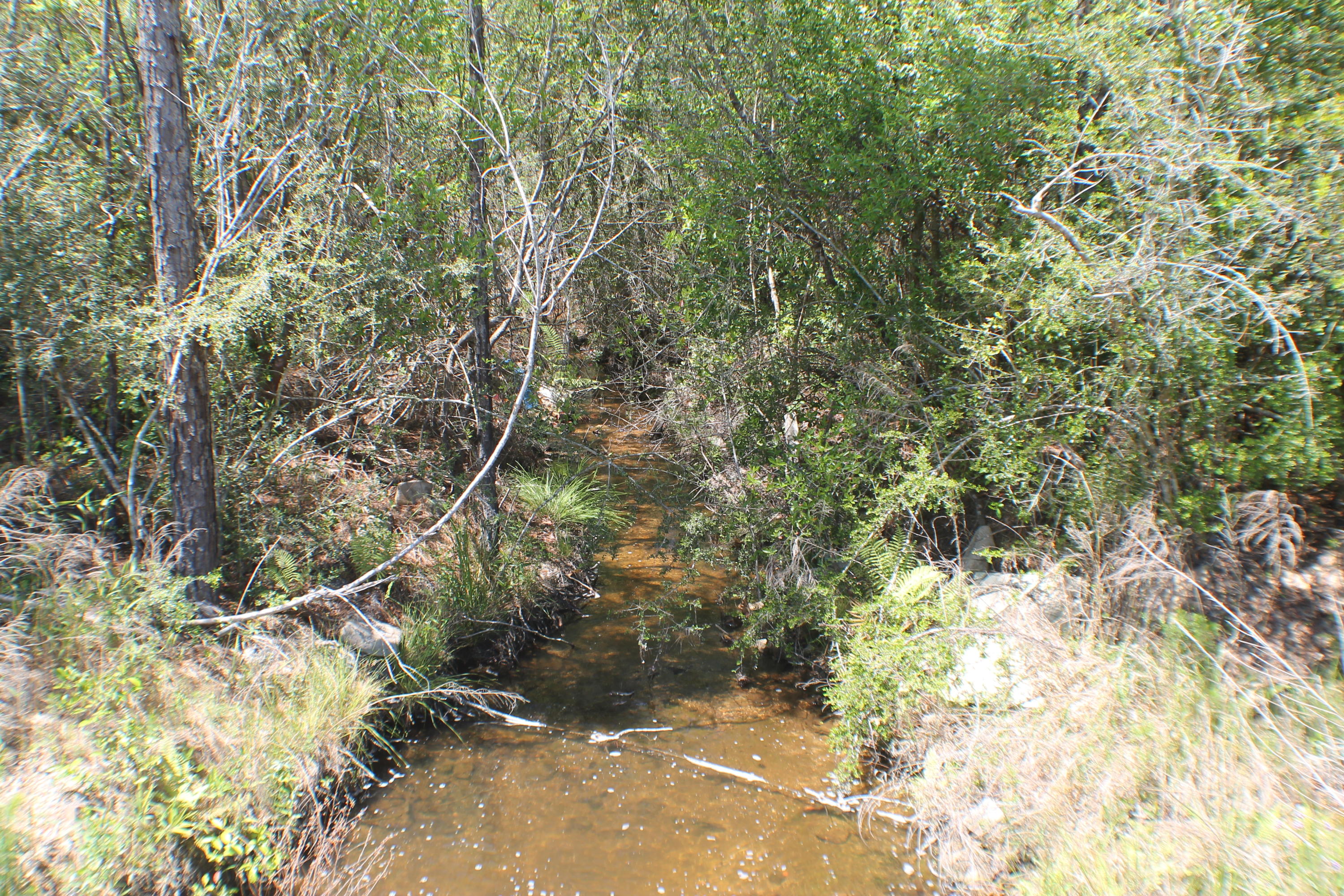 METES & BOUNDS - Land