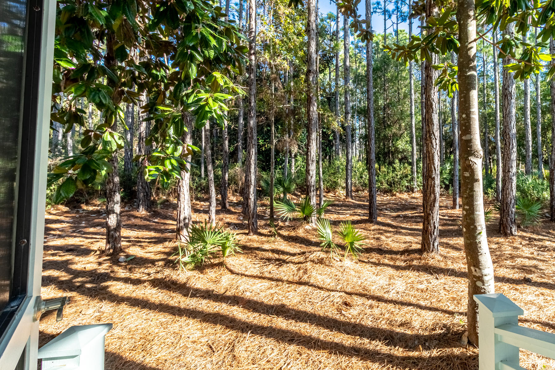 WATERCOLOR - Residential