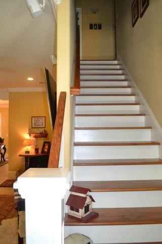 PINE FOREST - Residential