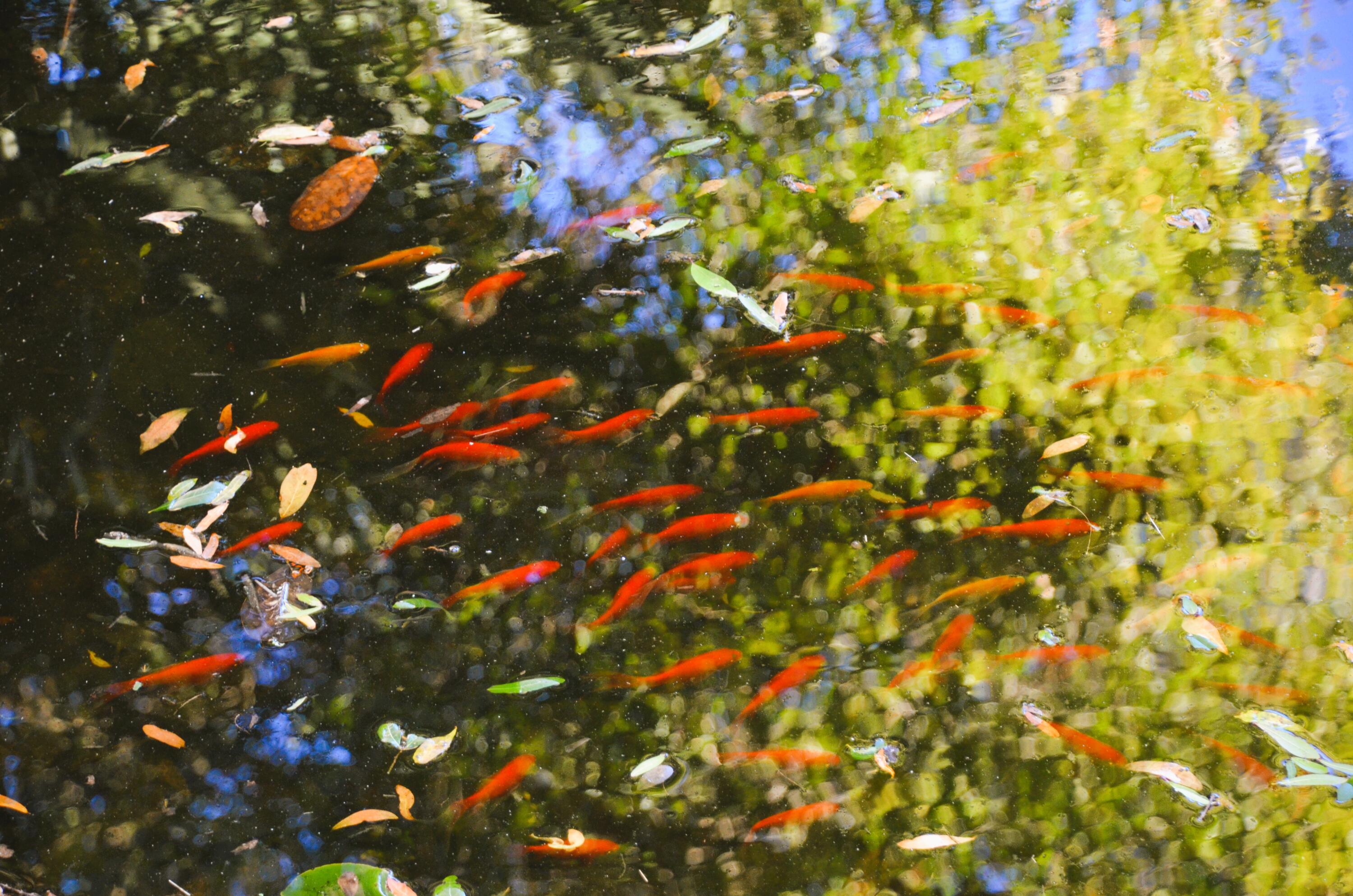 RESUB OF KELLYS ADD TO DESTIN - Land