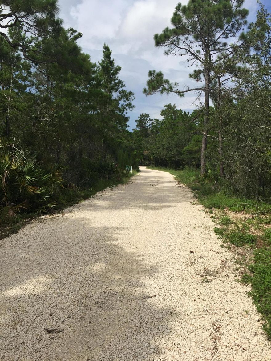 Location, location, location! Walking distance to the gulf. Quite neighborhood on a serene non-through street off the beaten path. Only 6 total homesties. Two with existing homes. Heavily wooded homesite with beautiful pines, oaks and magnolias. Wooded buffer across the street. Room for a carriage house, pool and a dock (non Coastal Dune Lake property so those restrictions do not apply)! Plenty of room to build your custom vacation, second or primary home with everything you would like to have. No build out timeframe or HOA fees.